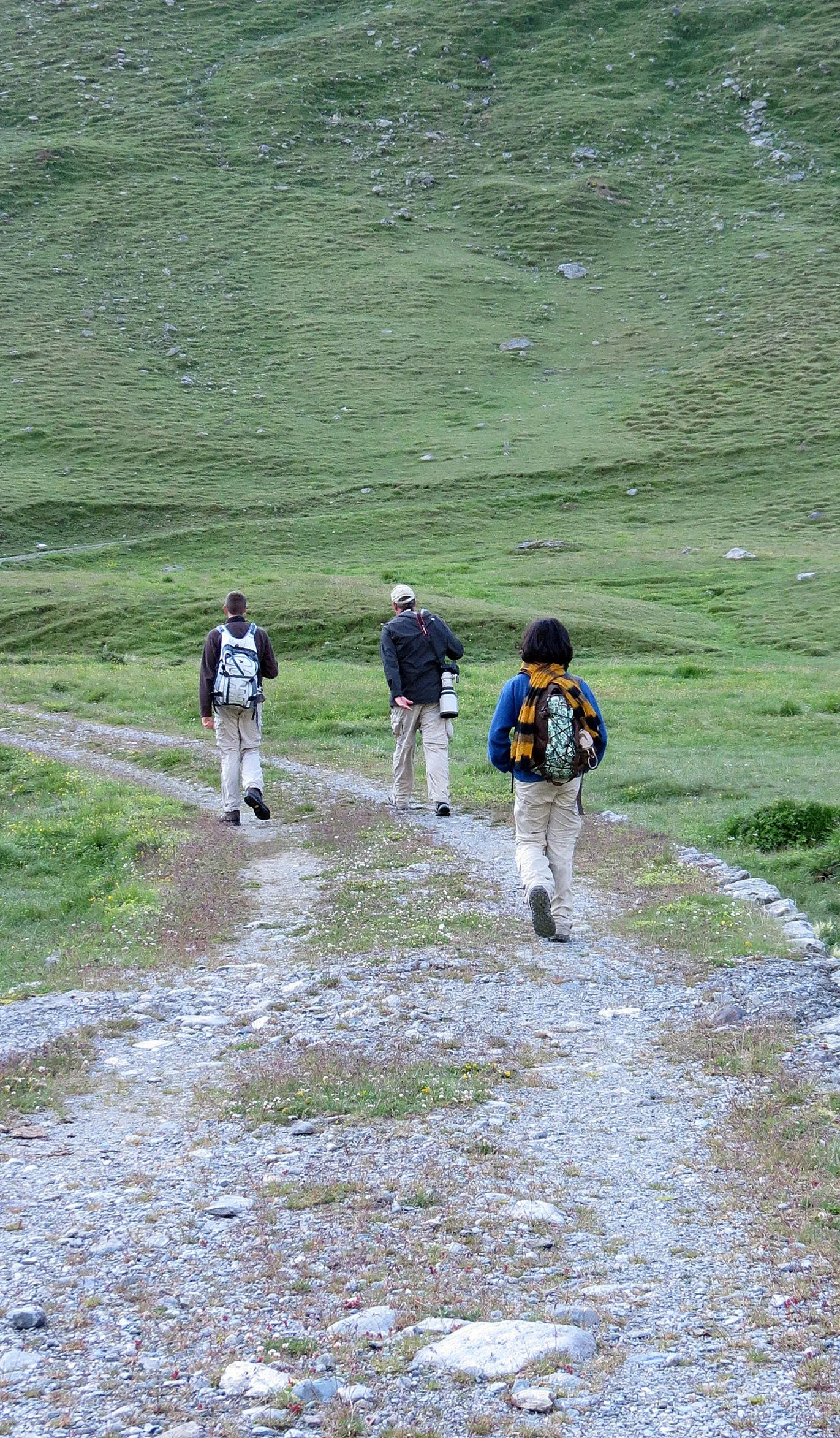 STELVIO NATIONAL PARK ITALY (12).JPG