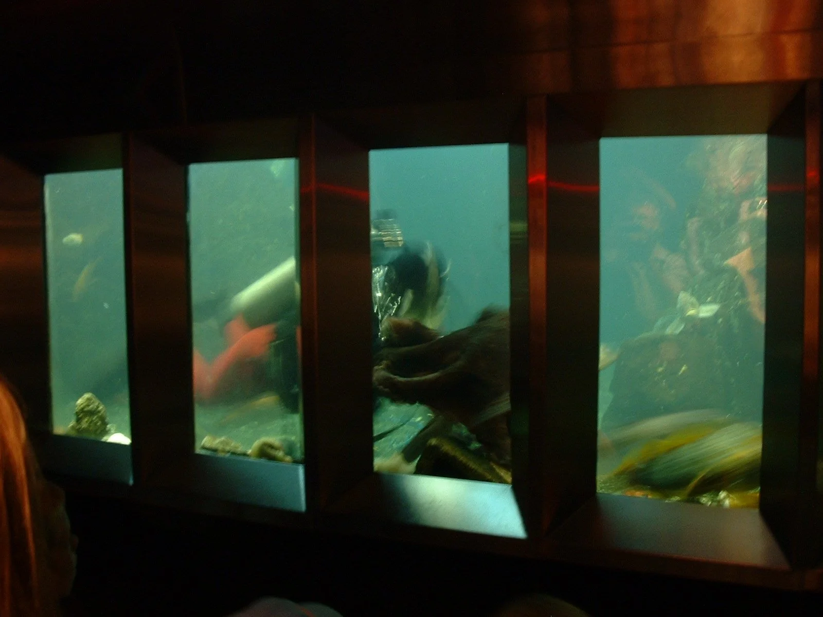 2003-8-1 WASHINGTON VISIT FROM ROBINSONS ET AL (144).JPG