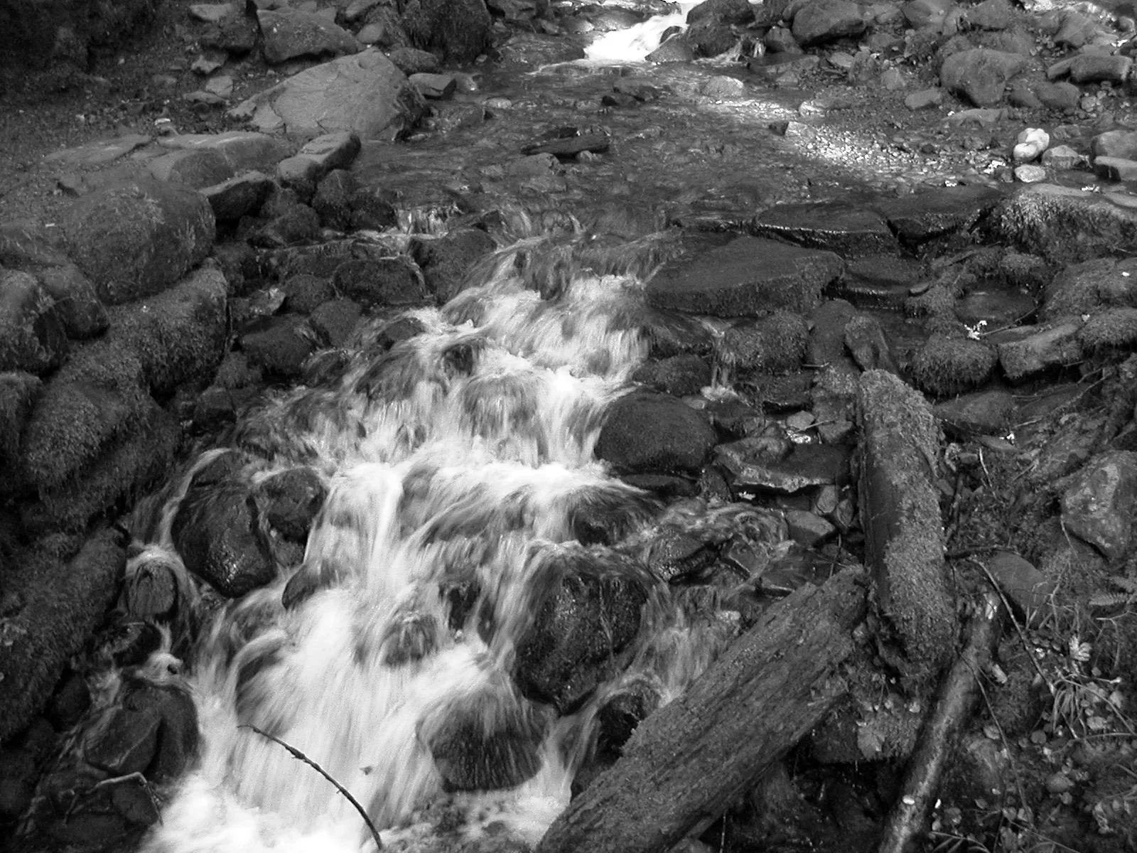2003-11-28 THANKSGIVING IN LAKE FARM (27).JPG