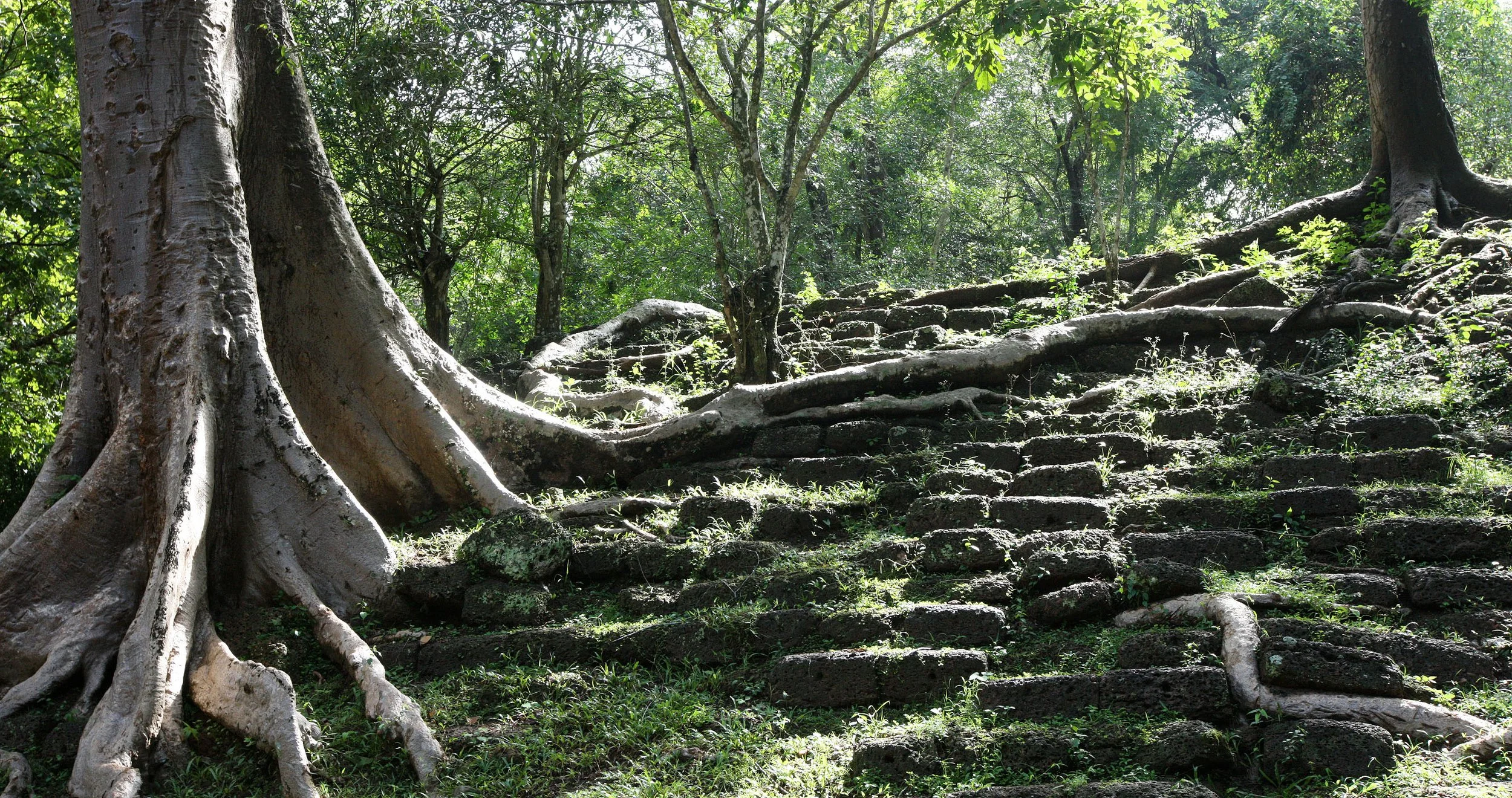 BAYON TEMPLE - CAMBODIA - JULY 2010 (11).JPG