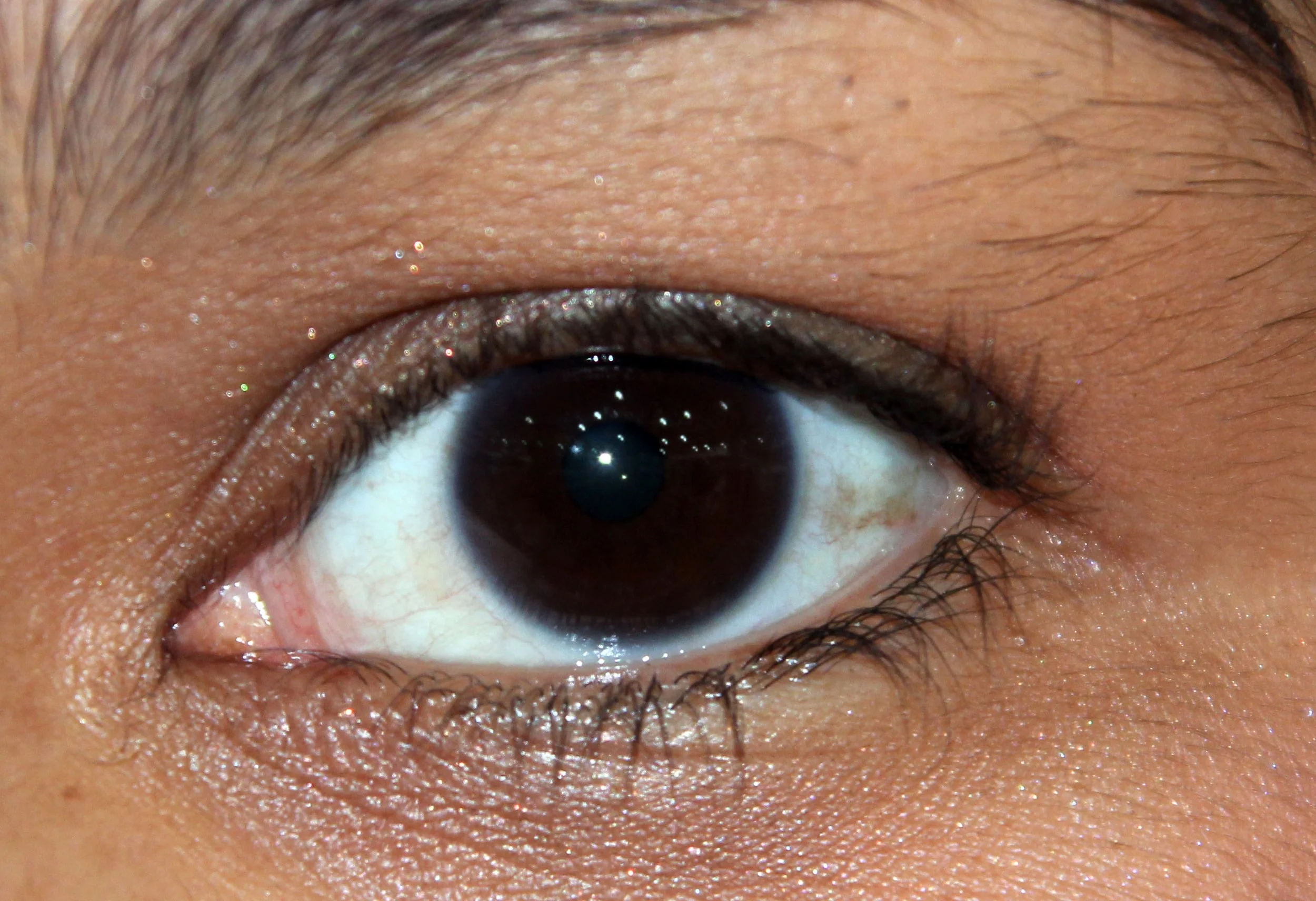 2012-11-3  SHANGHAI HUAIHAI LU ON A SUNDAY AFTERNOON (1).JPG