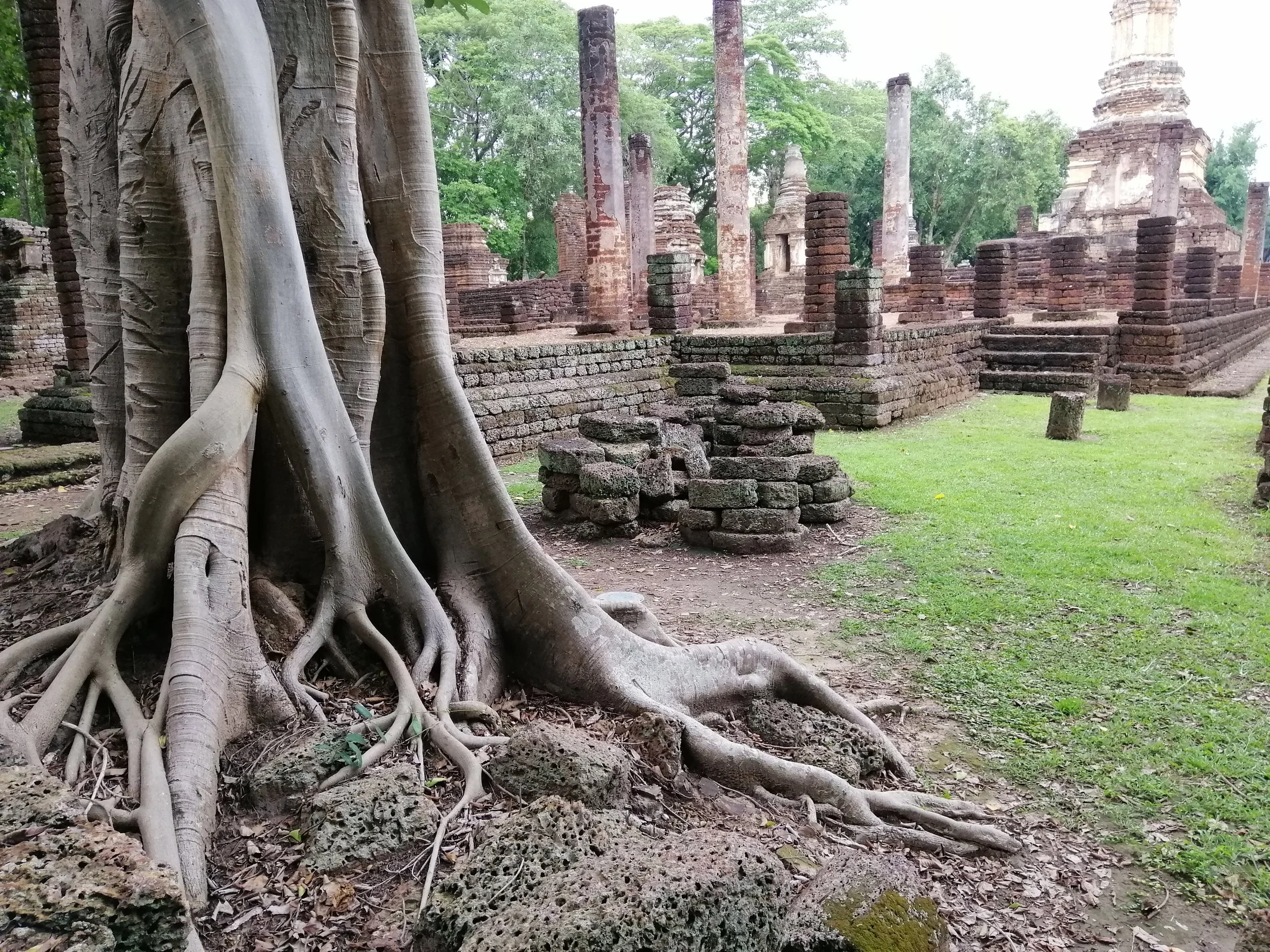 2019 Si Satchanalai Heritage Site Summer Road Trip (63).jpg