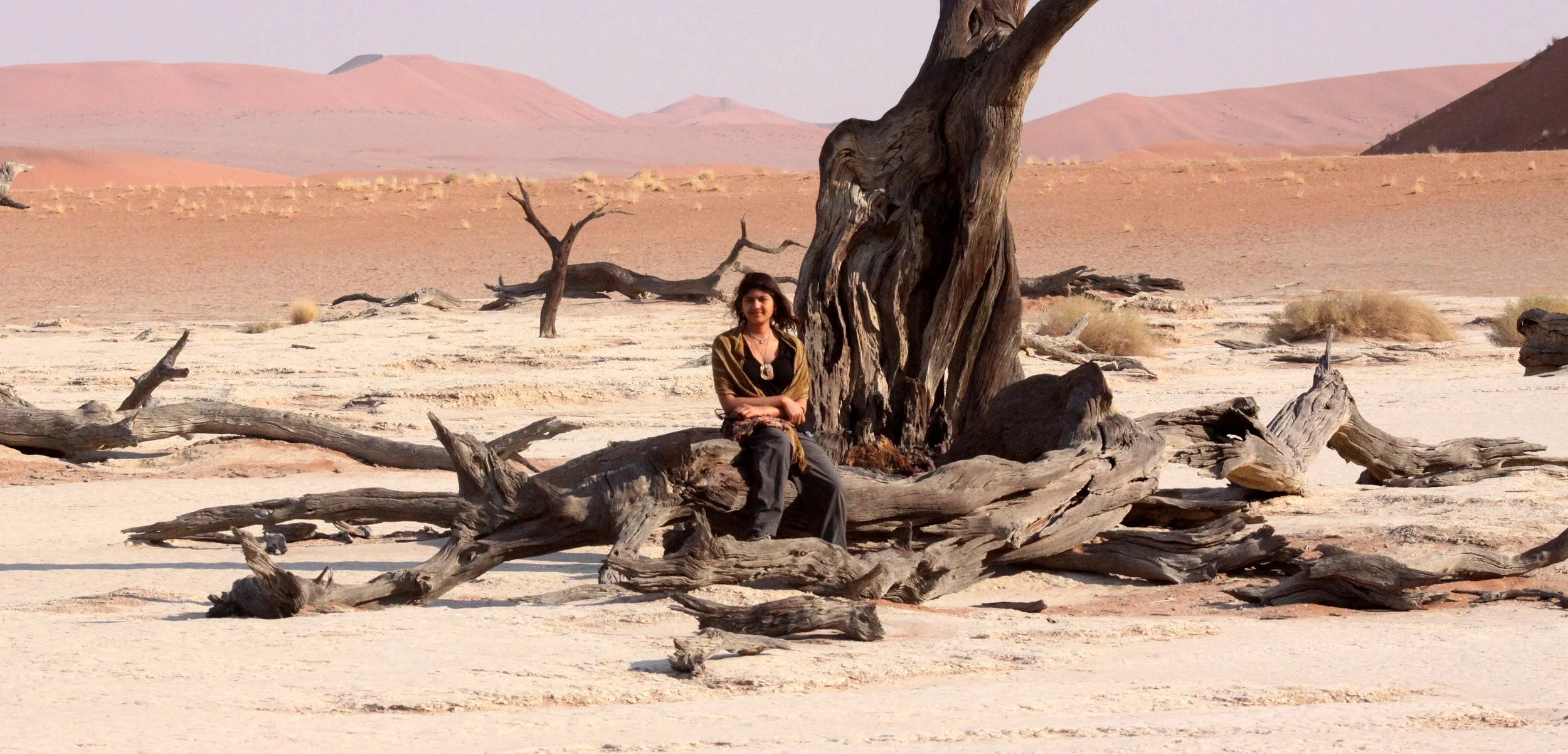 SOSSUSVLEI, NAMIB NAUKLUFT NATIONAL PARK, NAMIBIA - DEAD VLEI (35).JPG