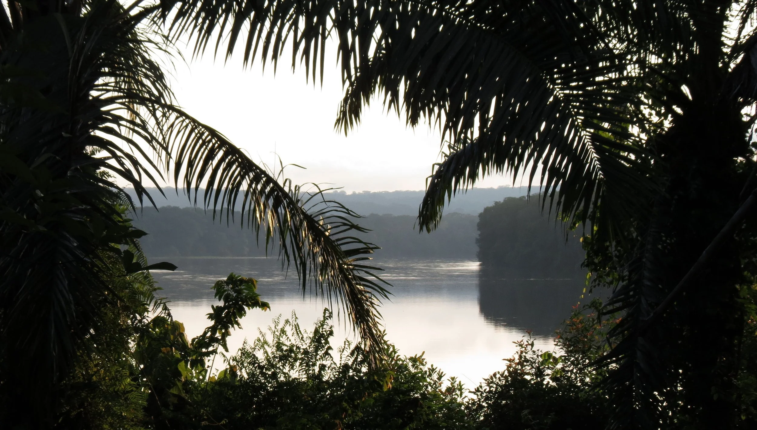 DZANGA NDOKI NATIONAL PARK  - CENTRAL AFRICAN REPUBLIC (8).JPG