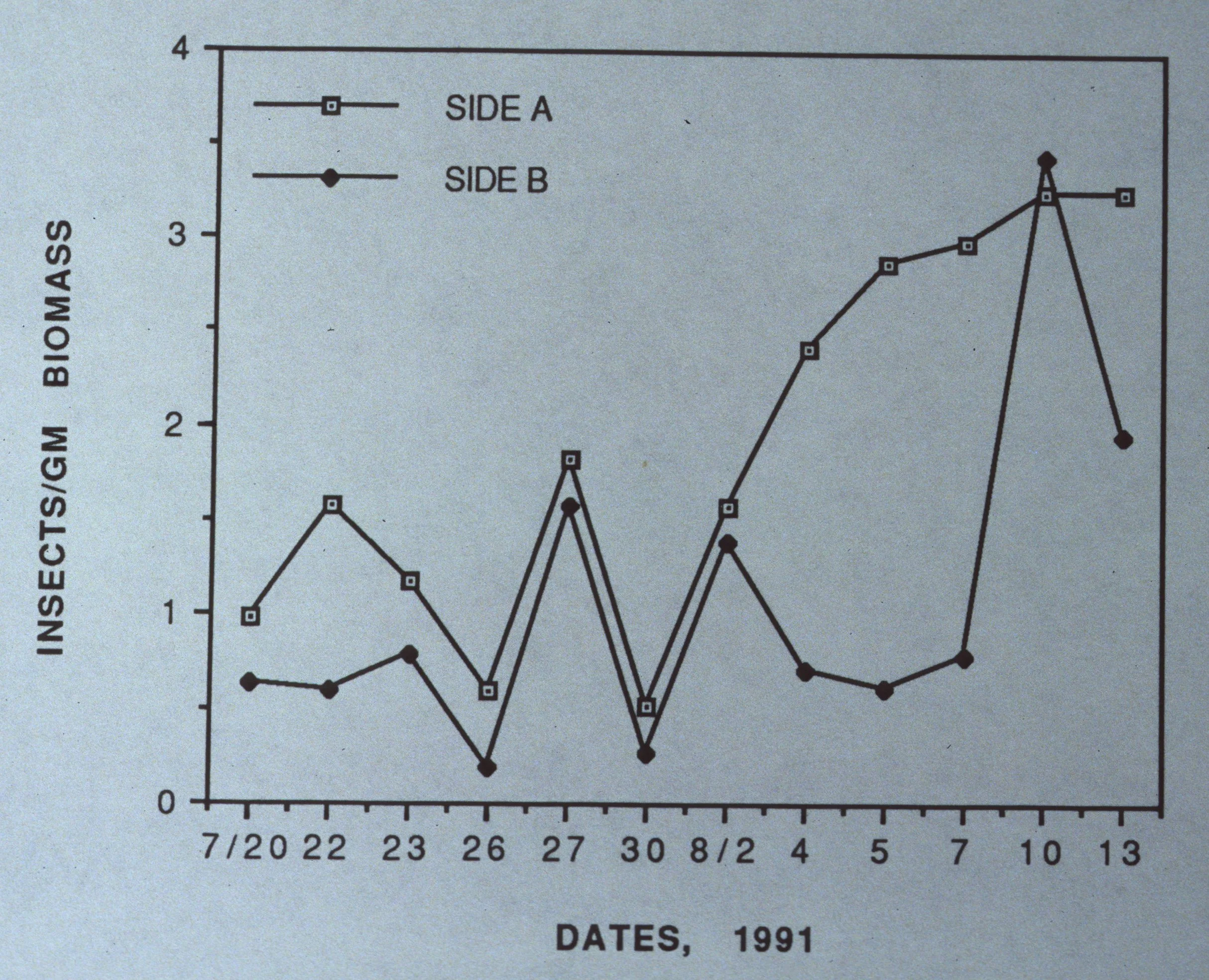 ARIZONA - MADERA CANYON - RESEARCH - RESULTS F.jpg