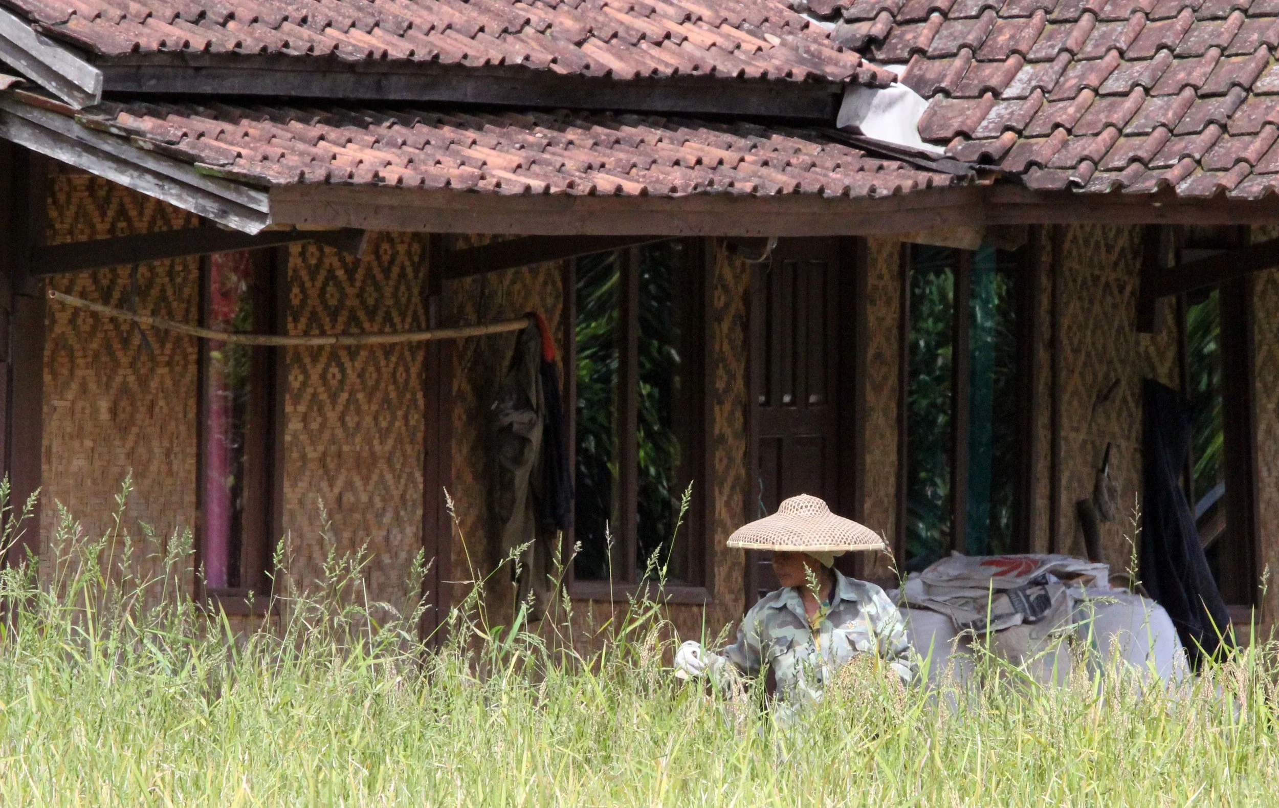 HALIMUN NATIONAL PARK JAVA BARAT INDONESIA (23).JPG