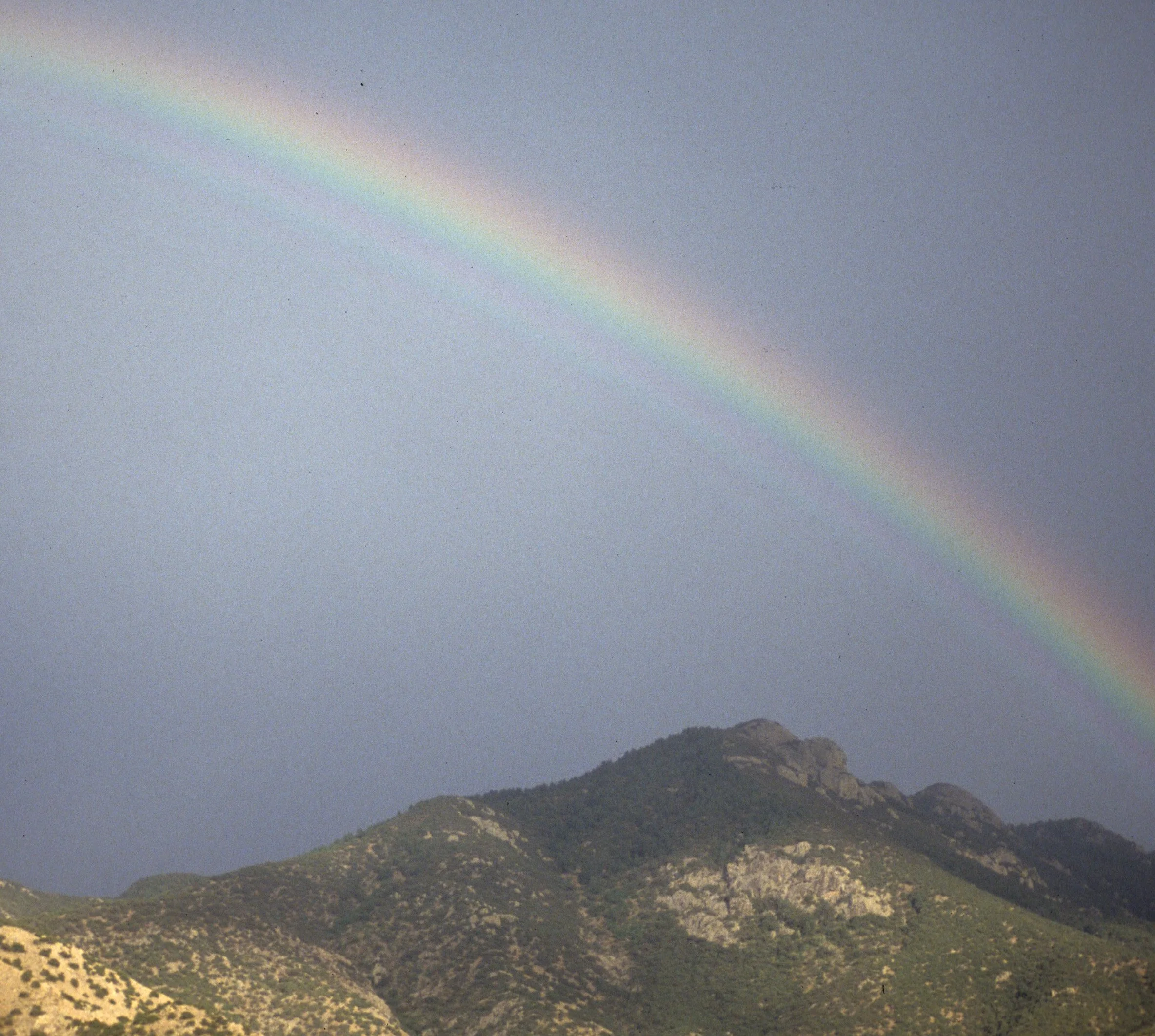 ARIZONA - MADERA CANYON - RESEARCH G.jpg