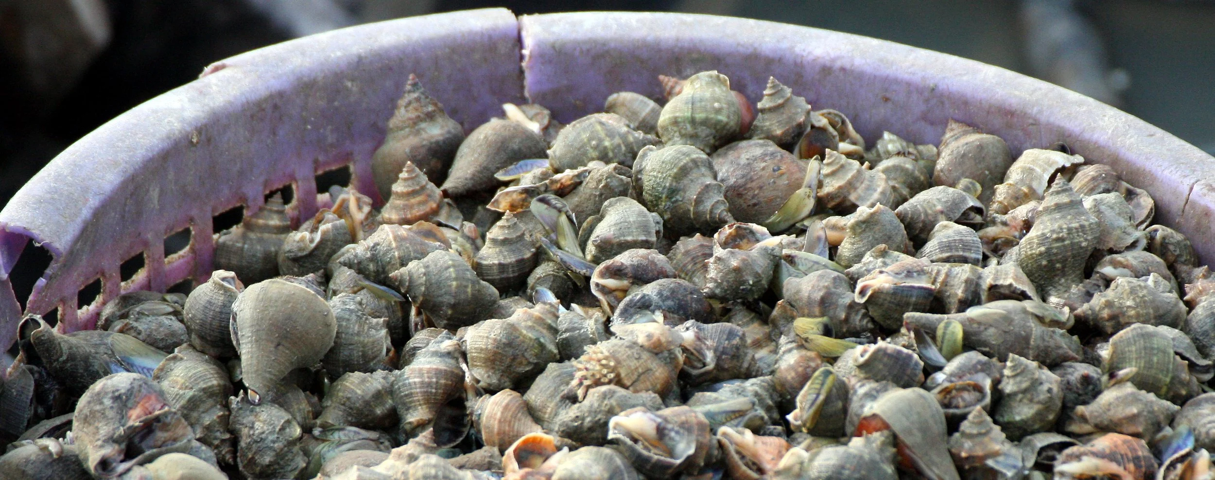 2004 Nakhonsithammarat Visiting Family (10).JPG