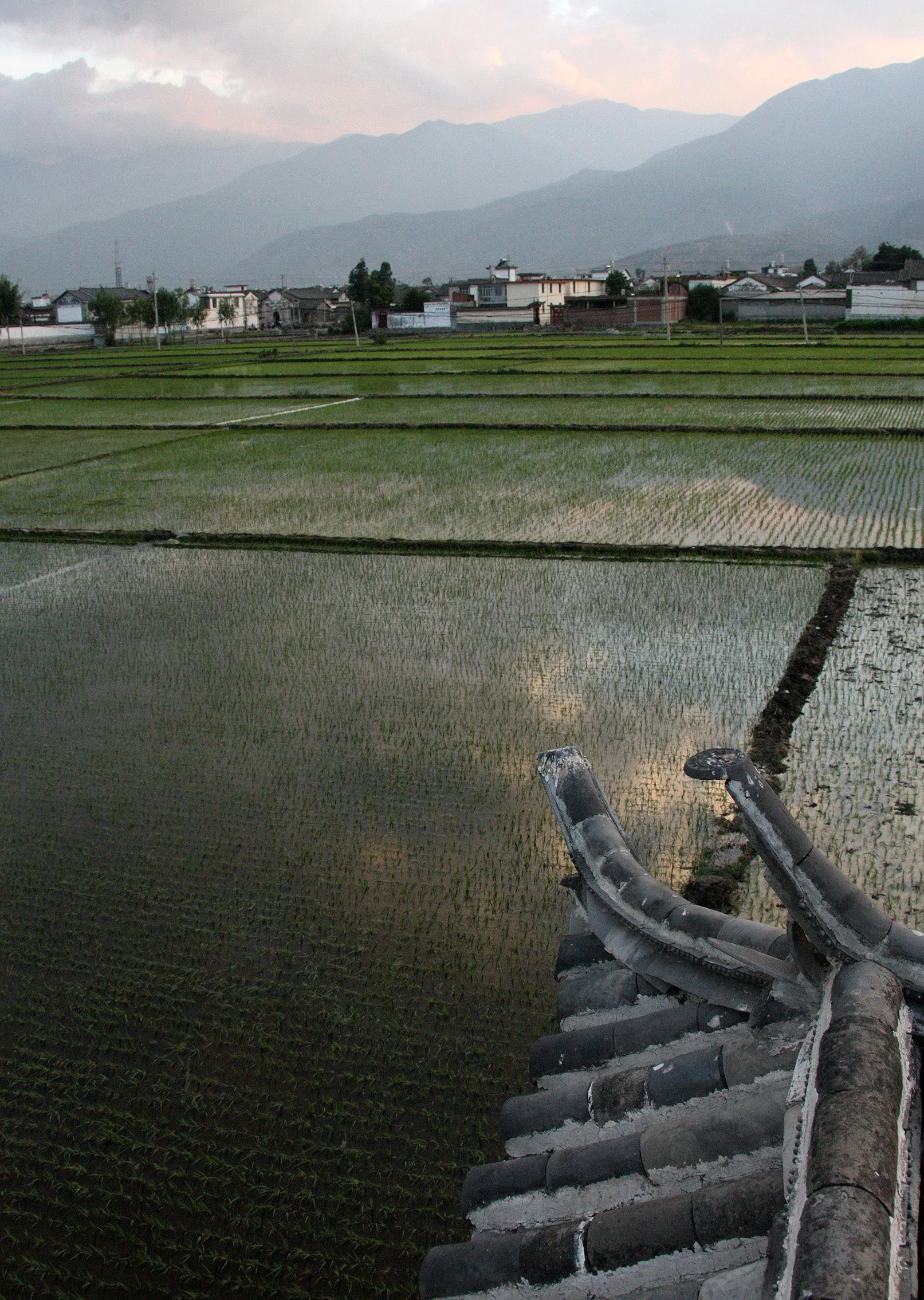 LINDEN CENTER - XIZHOU VILLAGE YUNNAN CHINA (40).JPG