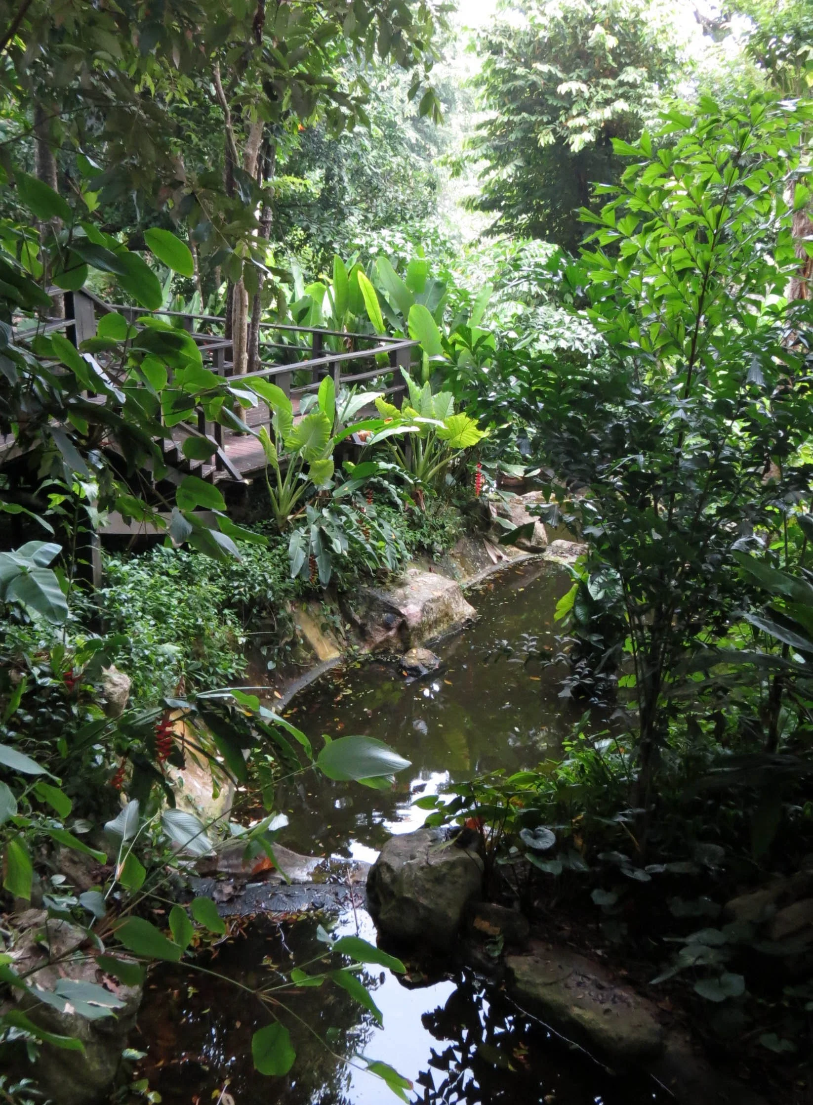 2014 Koh Lanta Build (62).JPG