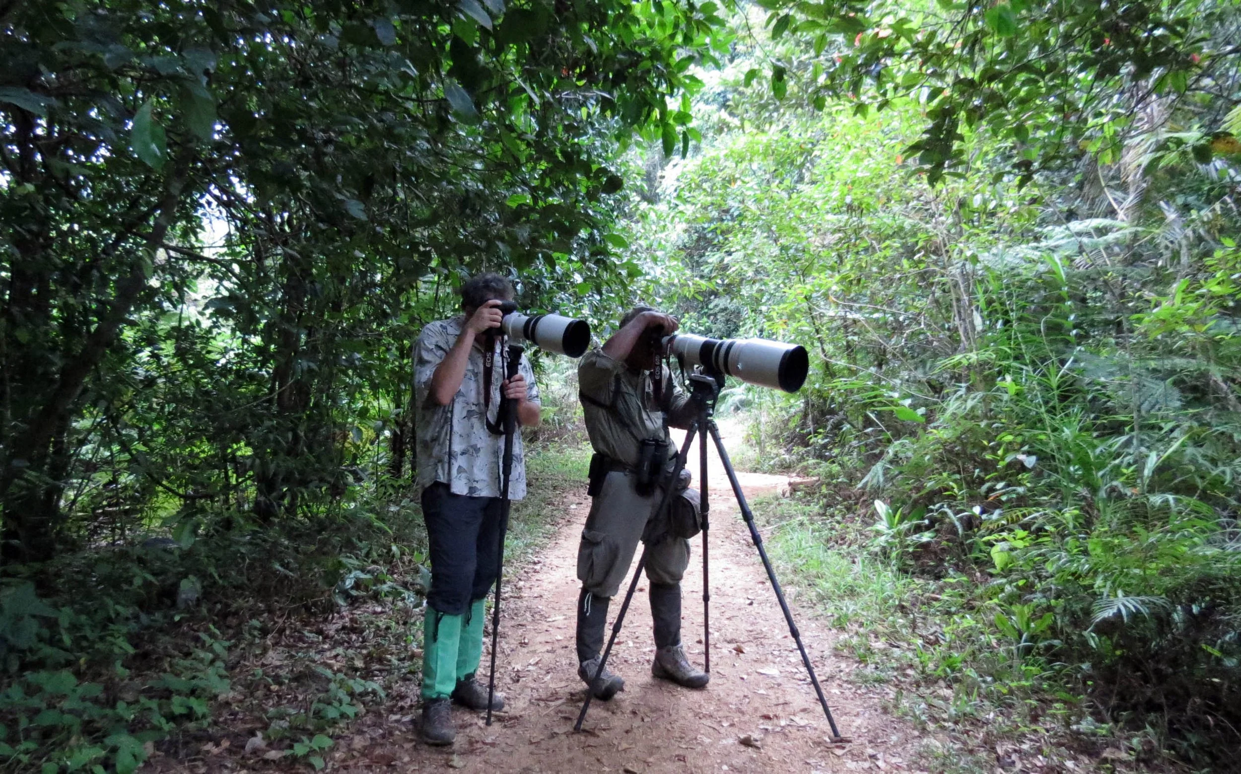 SINGHARAJA NATIONAL PARK SRI LANKA (24).JPG