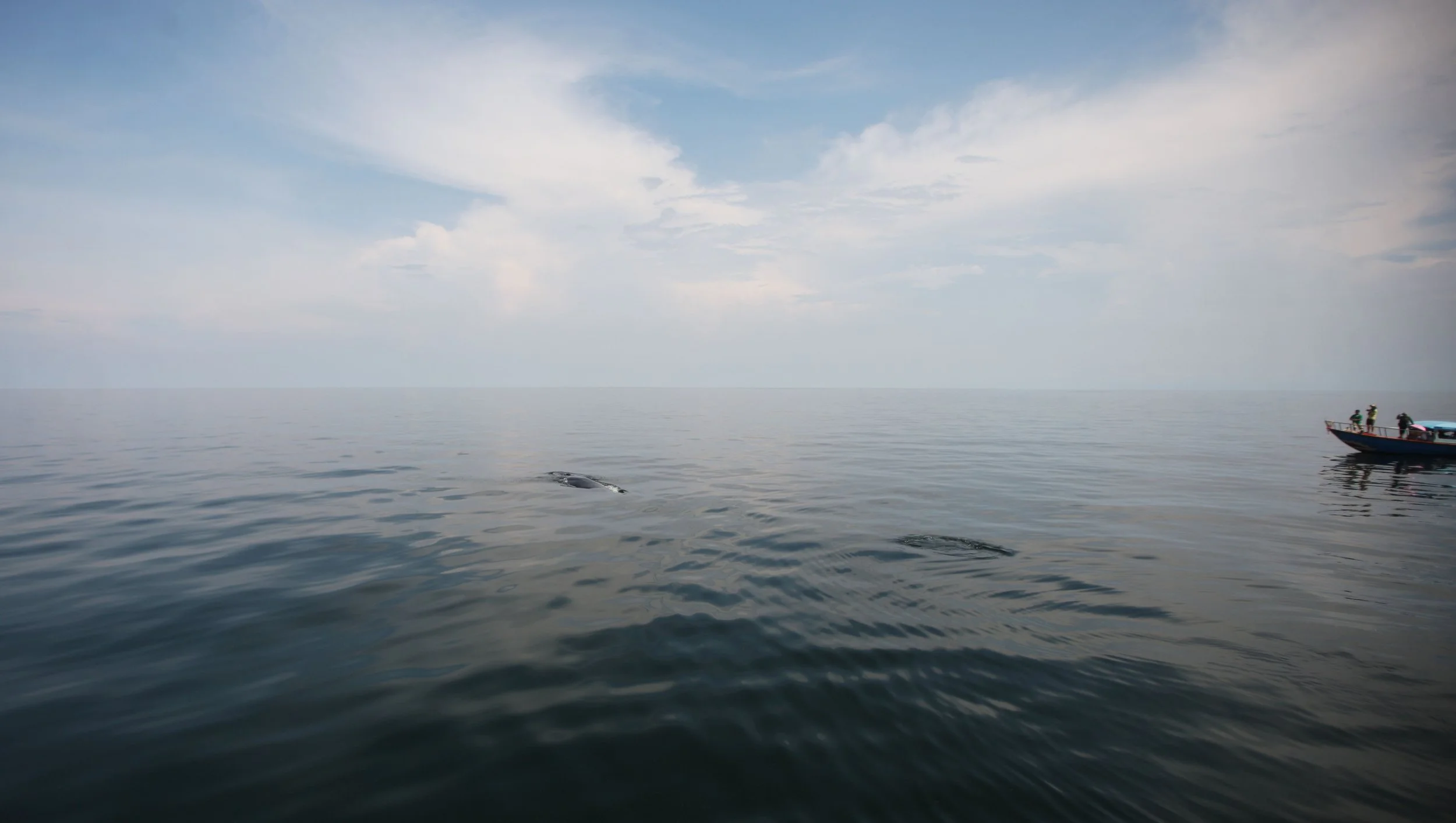 2014 Amphawa Trip to See Whales from Baan Taboon (57).JPG