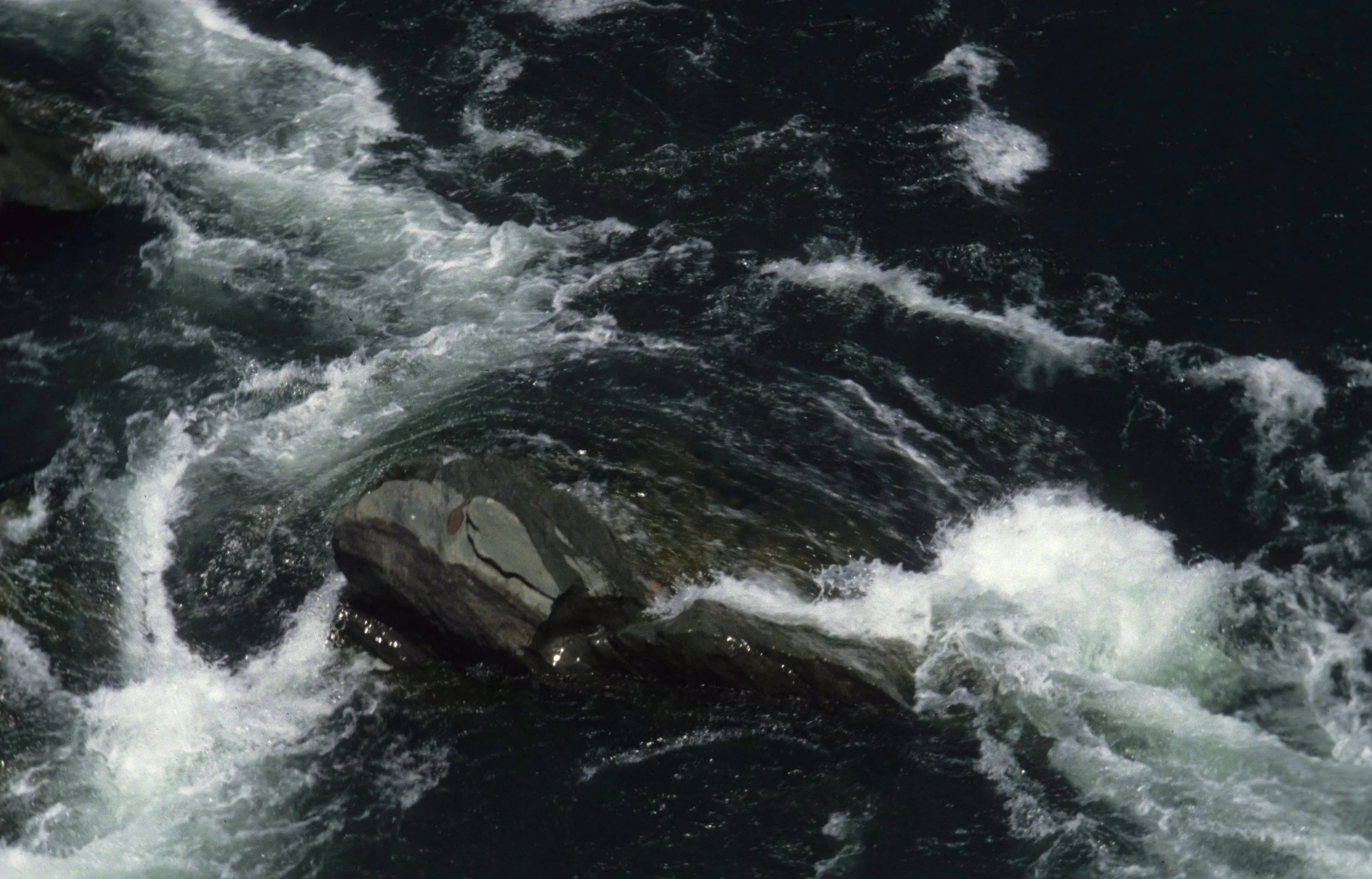 AMERICAN RIVER - RAPIDS A.jpg