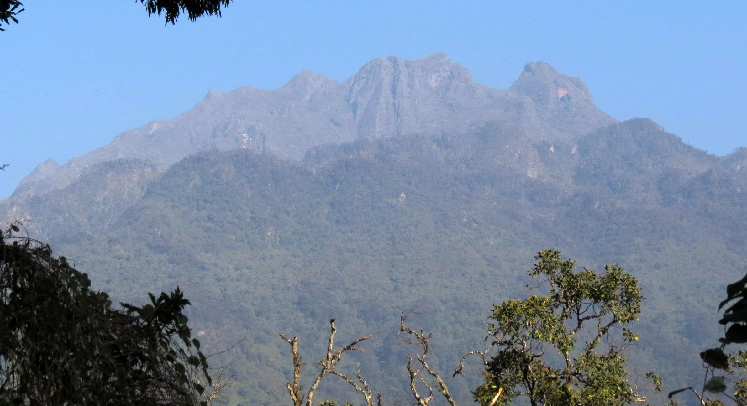 RWENZORI NATIONAL PARK UGANDA (72).JPG