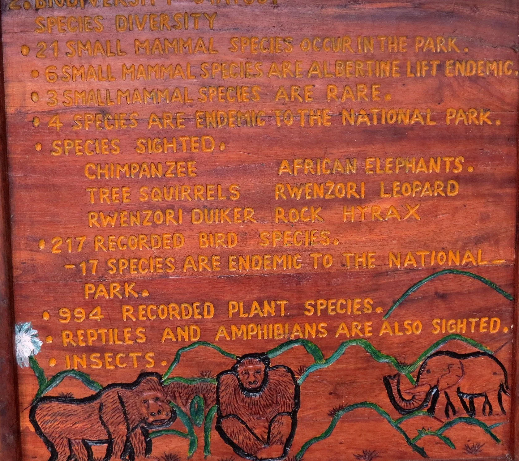 RWENZORI NATIONAL PARK UGANDA (9).JPG