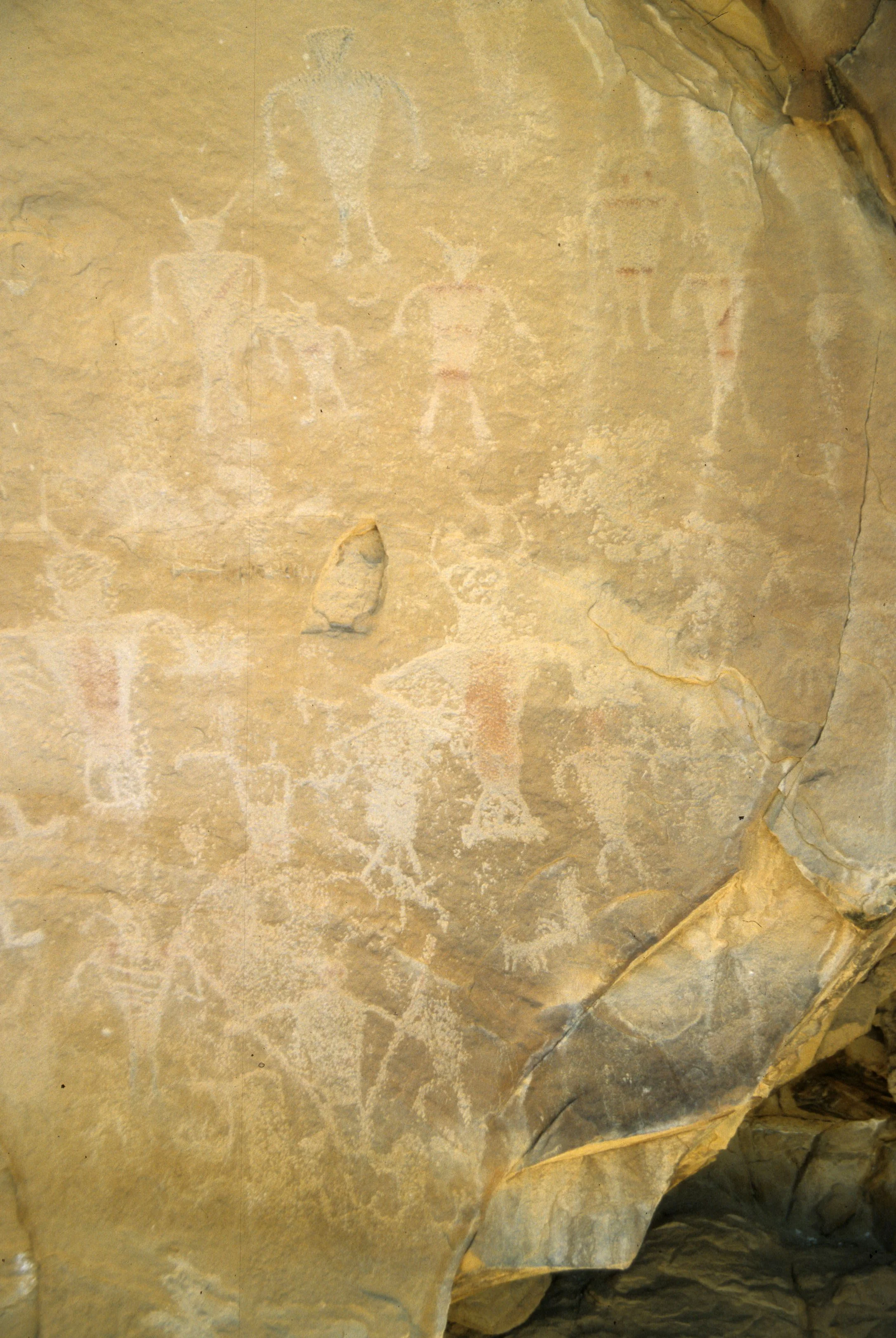 UTHA - DINOSAUR NM - PETROGLYPHS .jpg