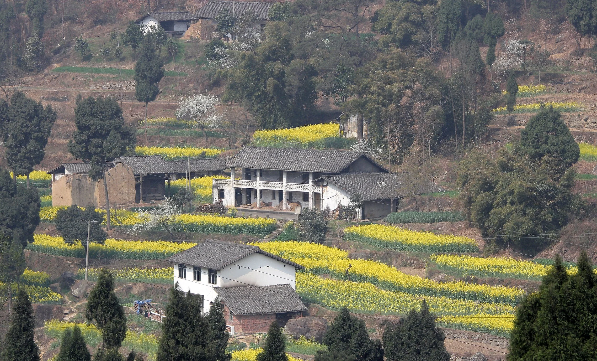 QINGCHUAN AND SURROUNDING AREA - SICHUAN CHINA (15).JPG
