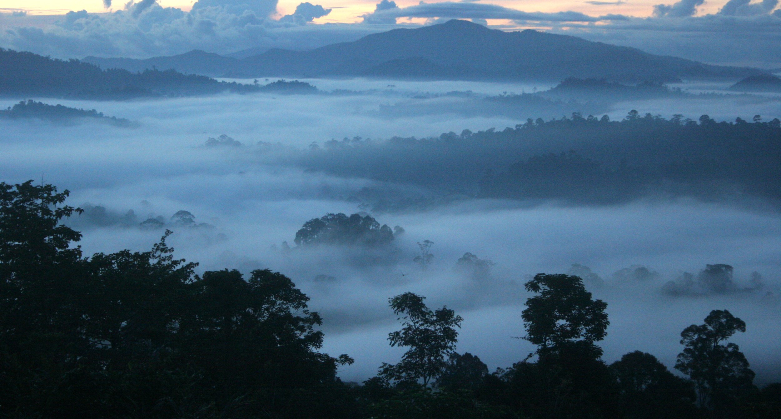 DANUM VALLEY BORNEO - SUNRISE OVER THE DANUM (20).JPG