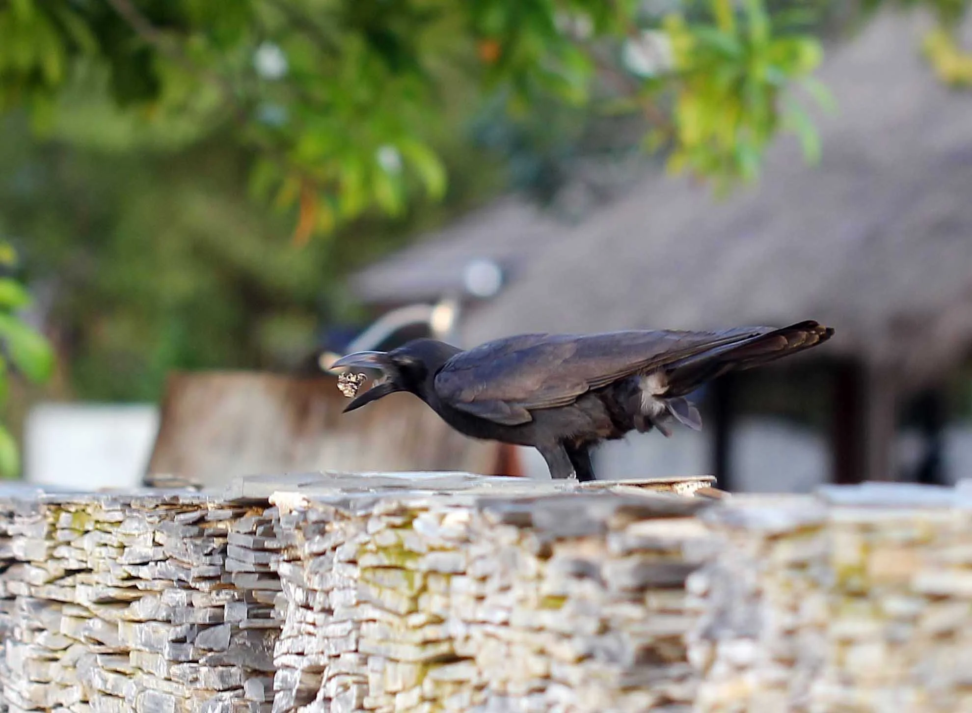 2015 Koh Lanta Songkran with friends from ISB (300).JPG
