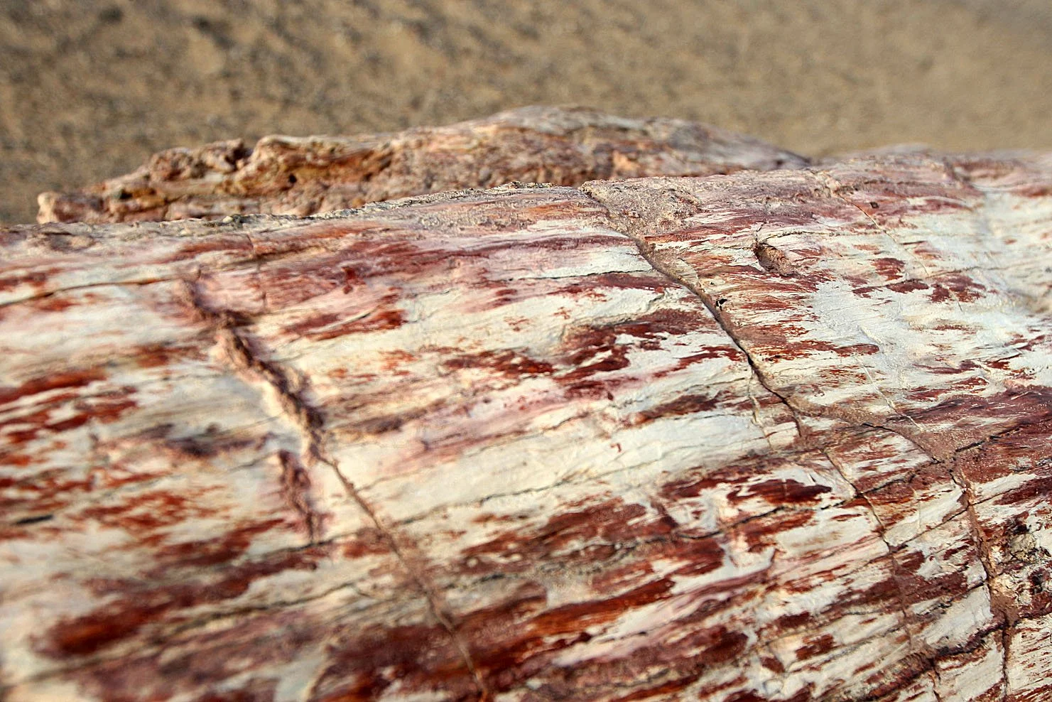 YADAN NATIONAL GEOLOGICAL PARK - GANSU CHINA (32).JPG
