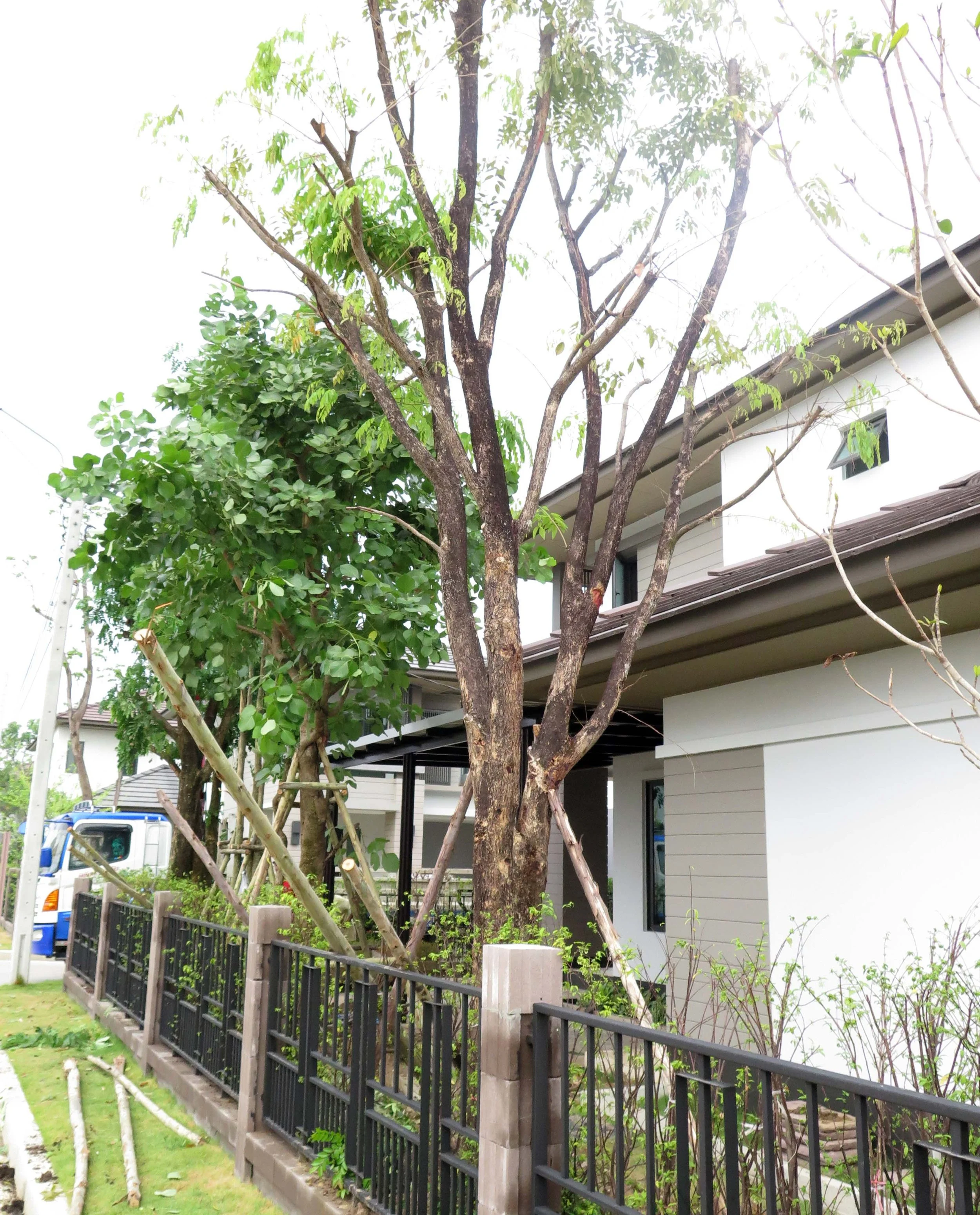 2013 Nonthaburi Setthasiri House and Nonthaburi Neighborhood (45).JPG