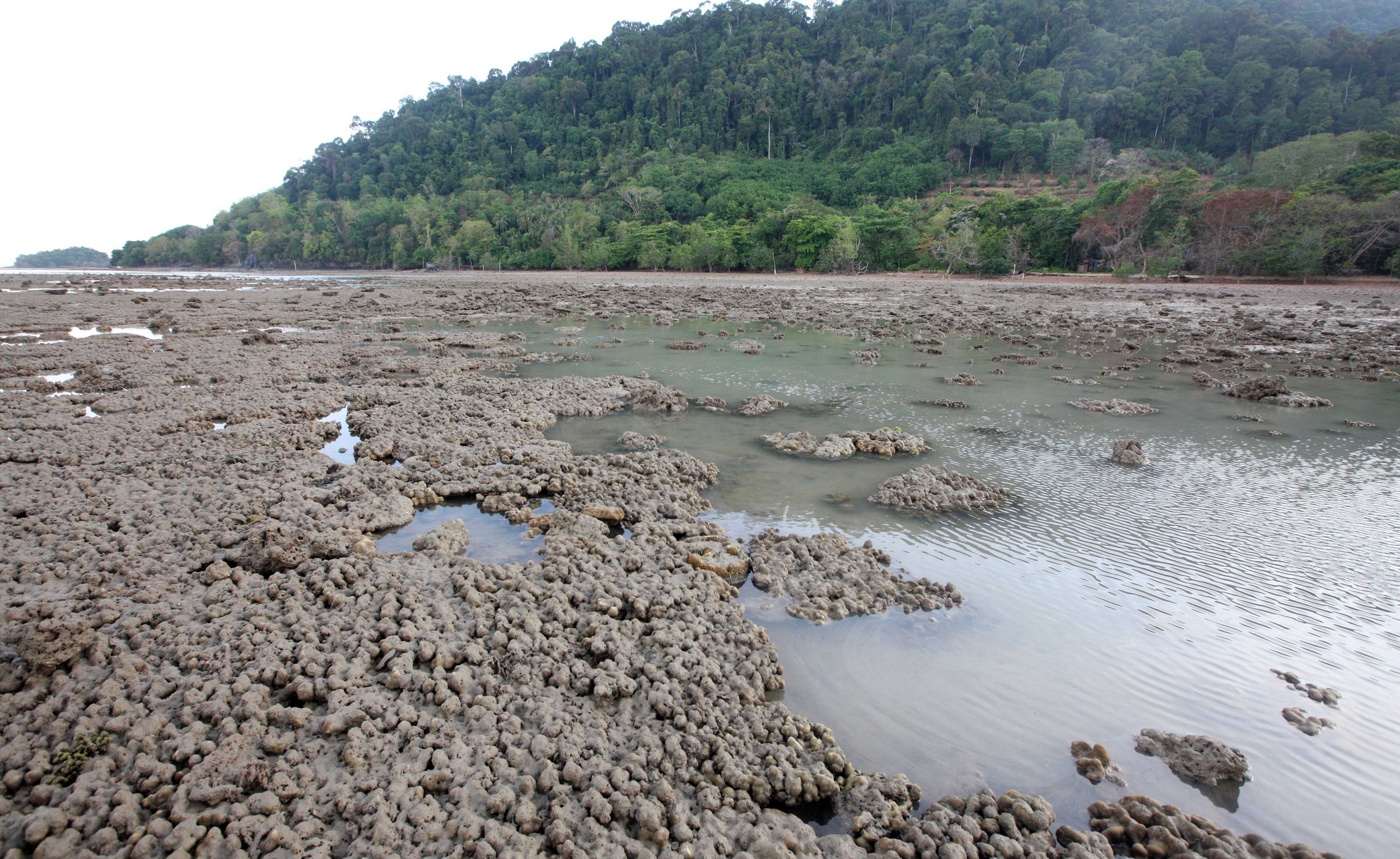 2015 Koh Lanta Songkran with friends from ISB (234).JPG