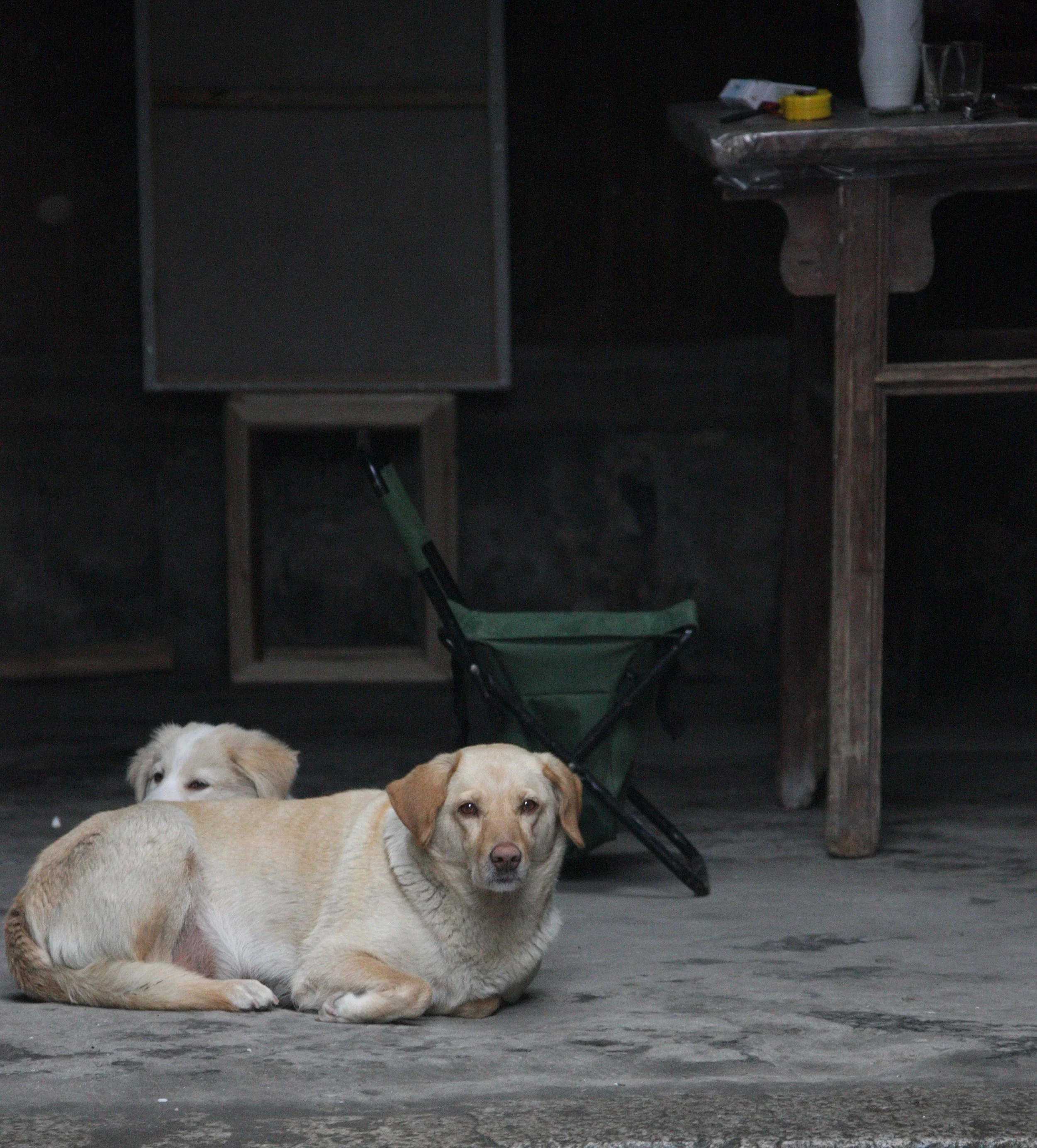 HONGCUN VILLAGE - ANHUI PROVINCE CHINA (85).JPG