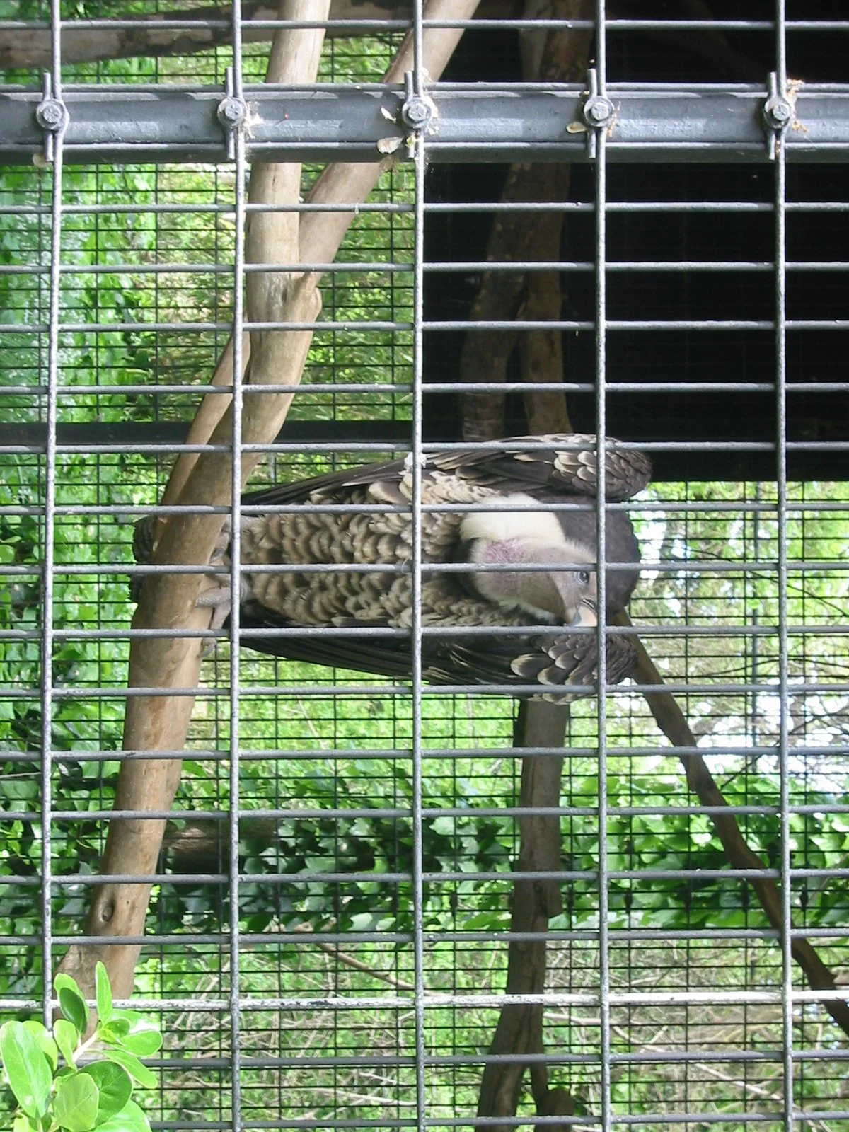 2003-4-2 SPRING TRIP TO SACRAMENTO.JPG