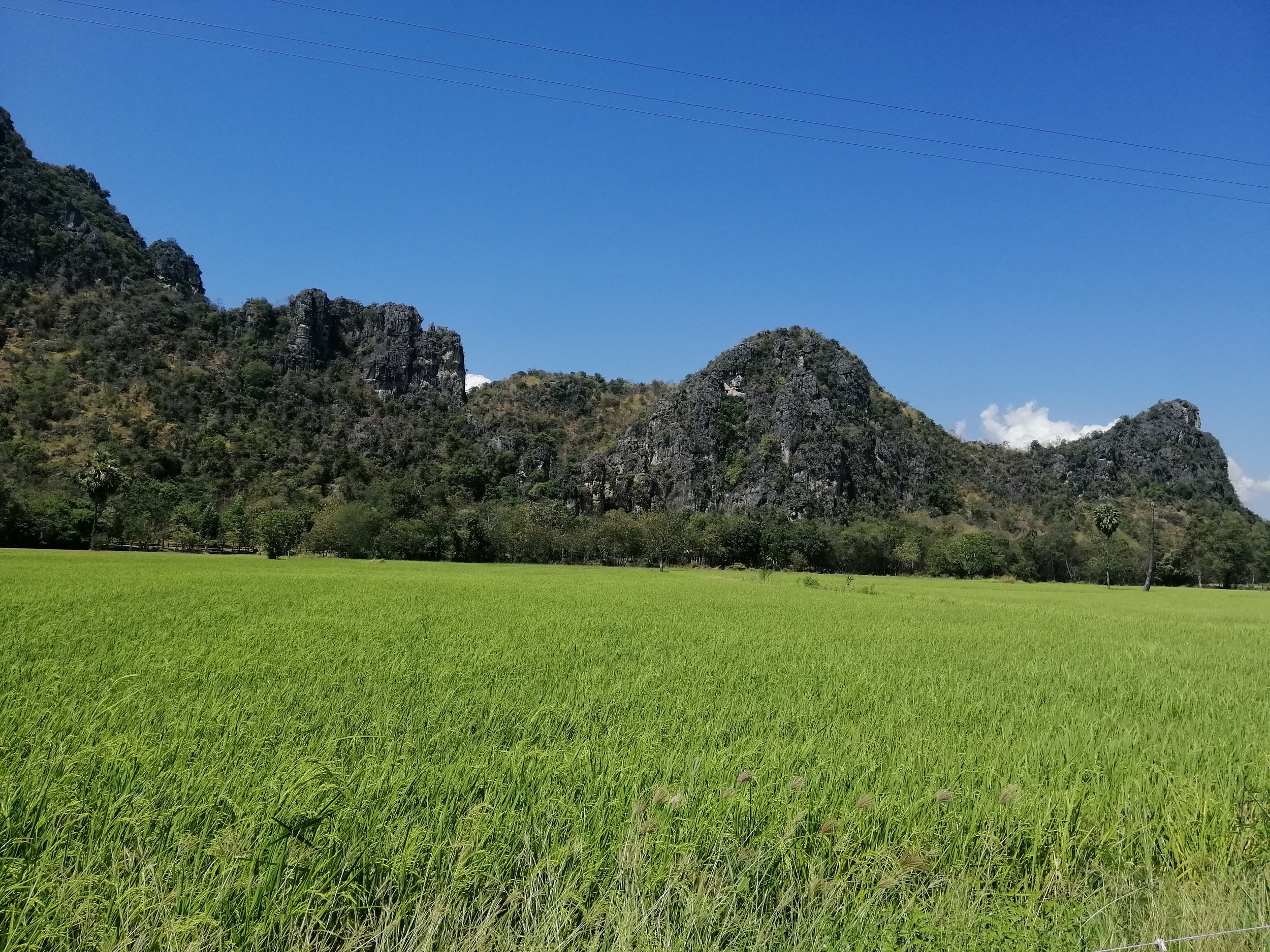 2019 Petchaburi & Cha'am Trip with Cokie & Gift (16).jpg