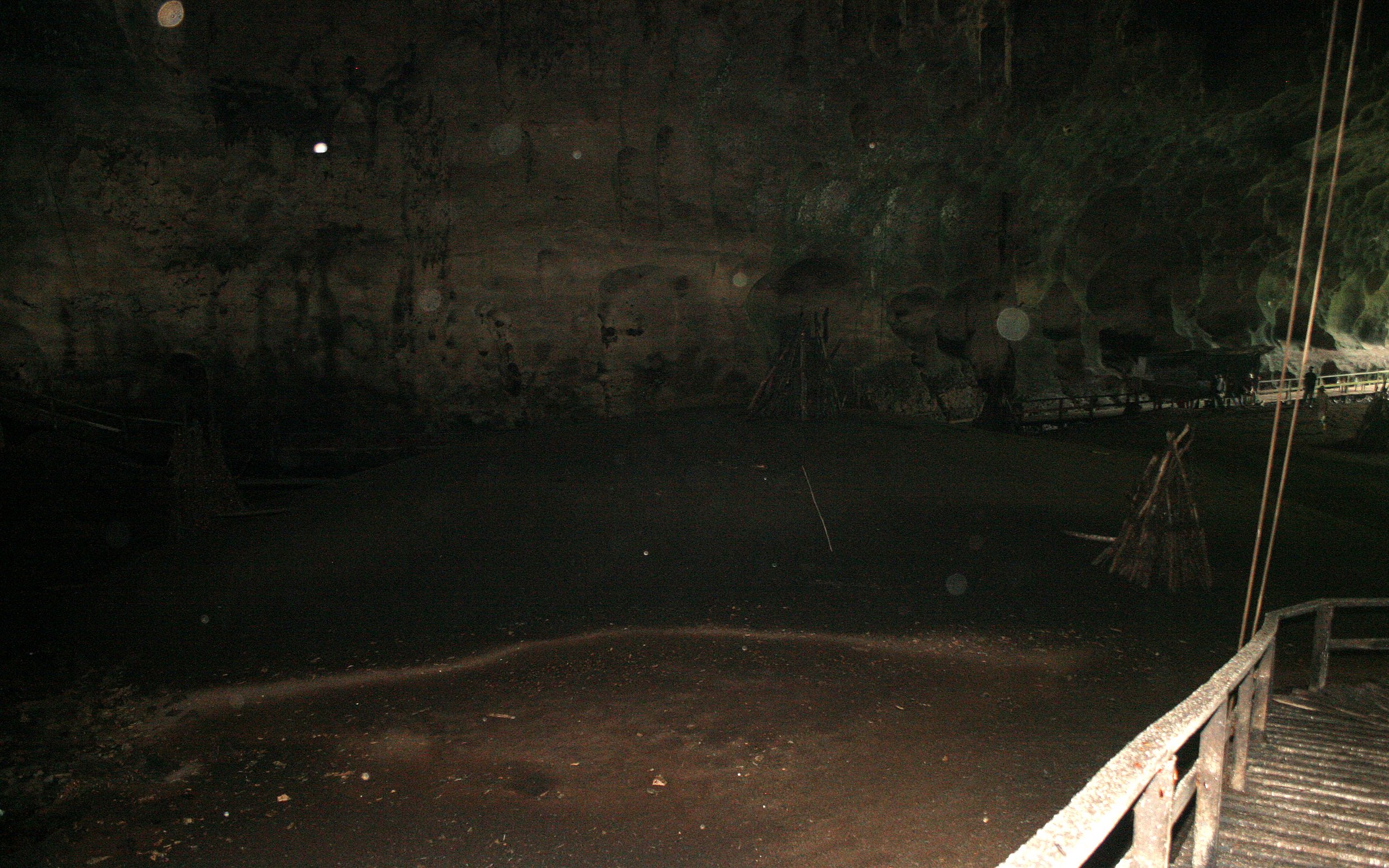 GAMONTONG CAVES BORNEO (11).JPG
