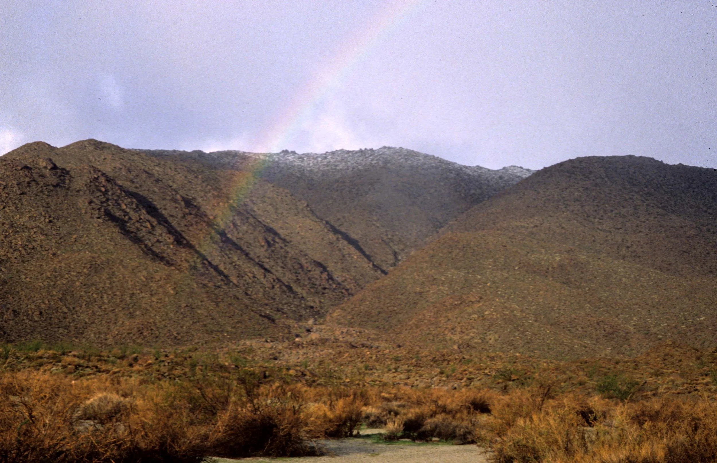 ANZA BORREGO - RAINBOW OVER ARROYO.jpg