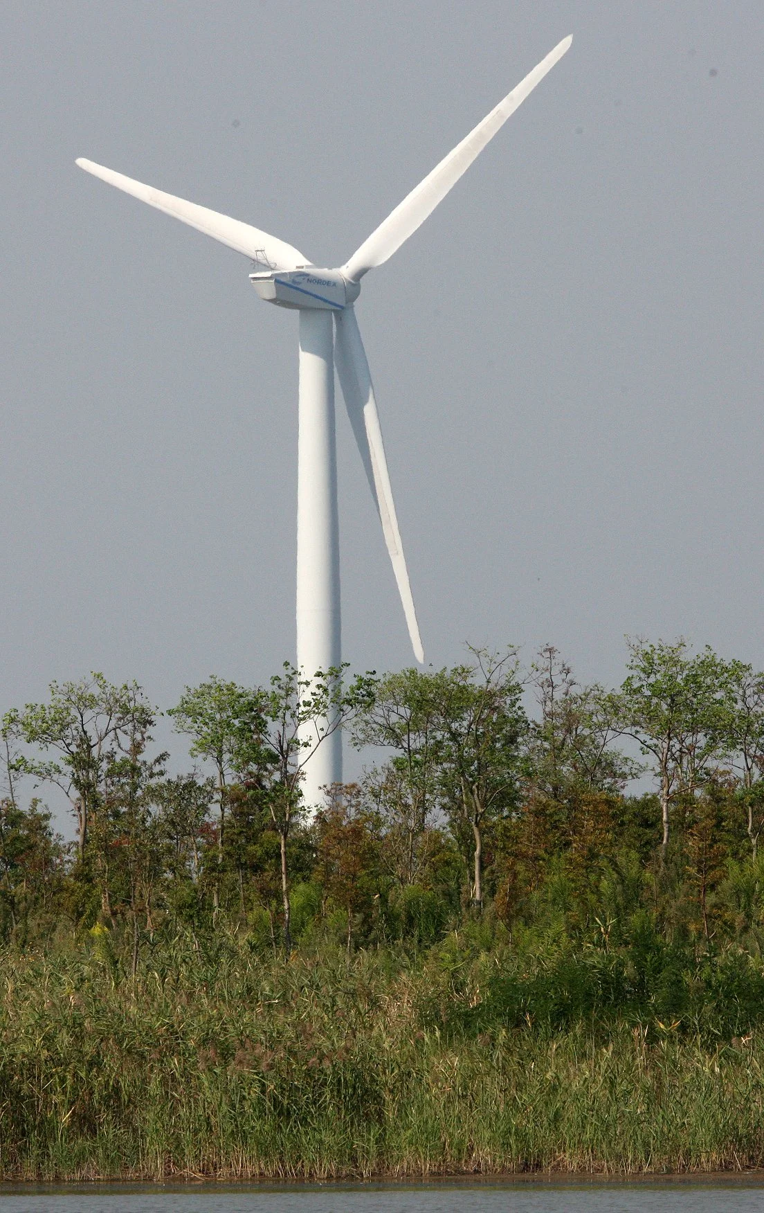 CHONGMING ISLAND - DONGTAN WETLANDS RESERVE - WINDFARMS (4).JPG