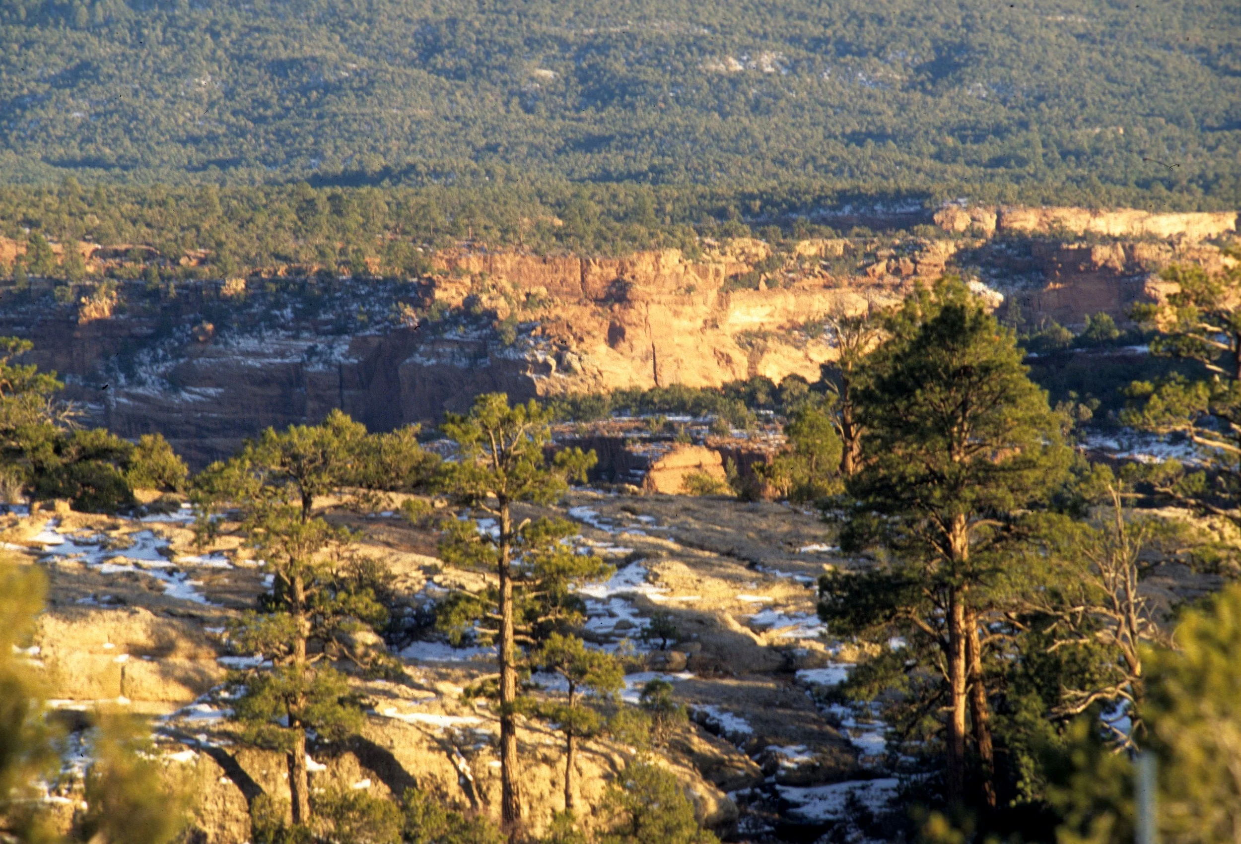 UTAH - NATURAL BRIDGES NM A.jpg