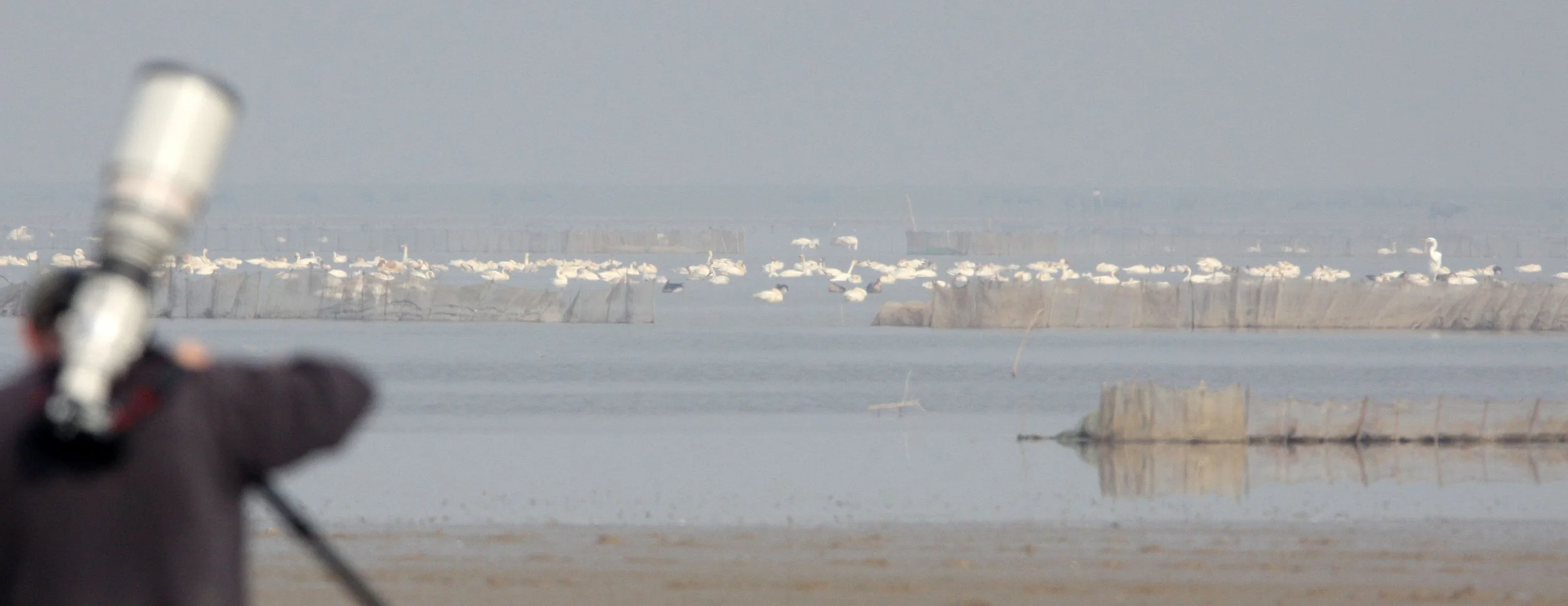 NANJI HILL RESERVE - POYANG LAKE JIANGXI PROVINCE CHINA (19).JPG