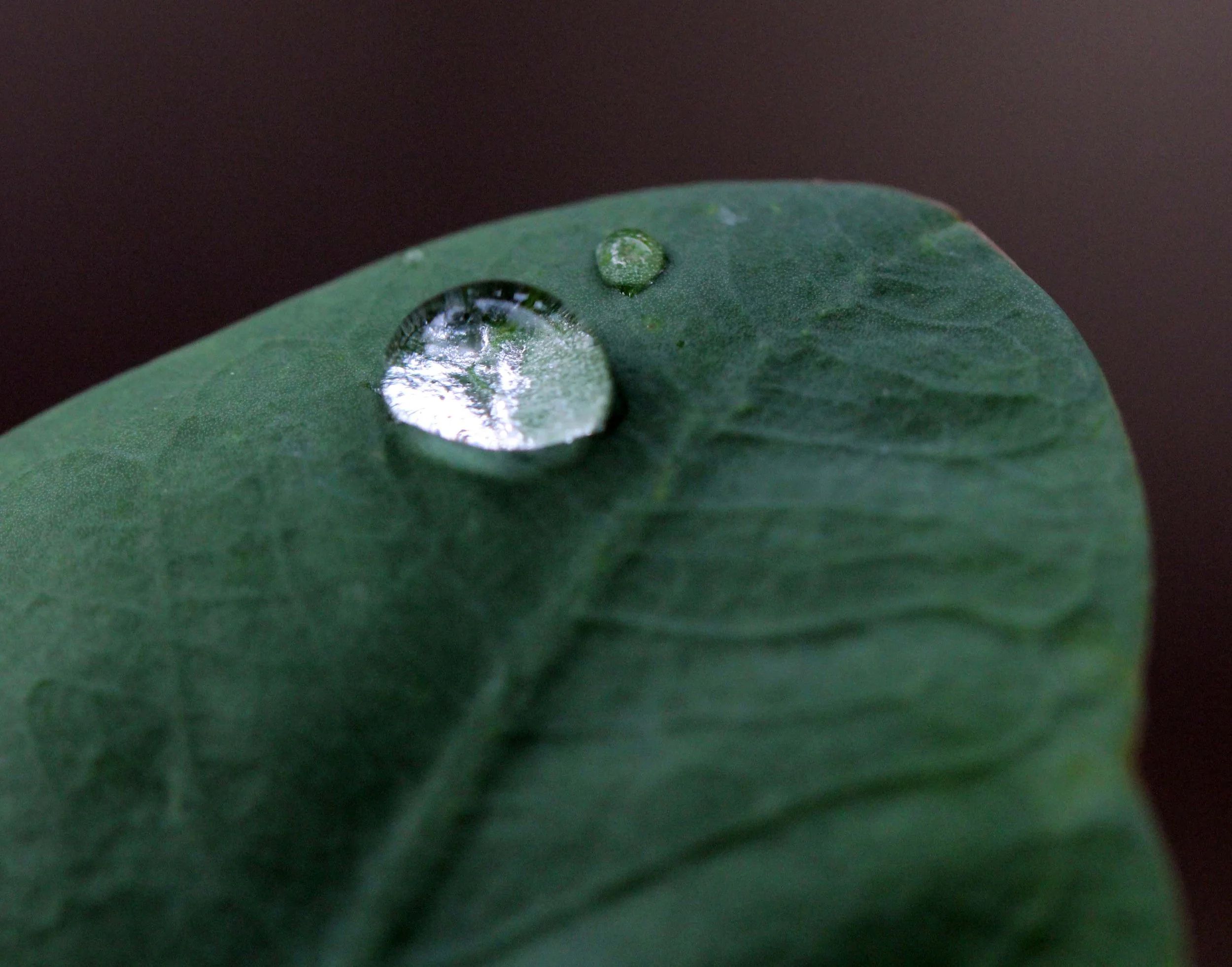 2013 in Nakhonsithammarat and some Krabi with Family (60).JPG