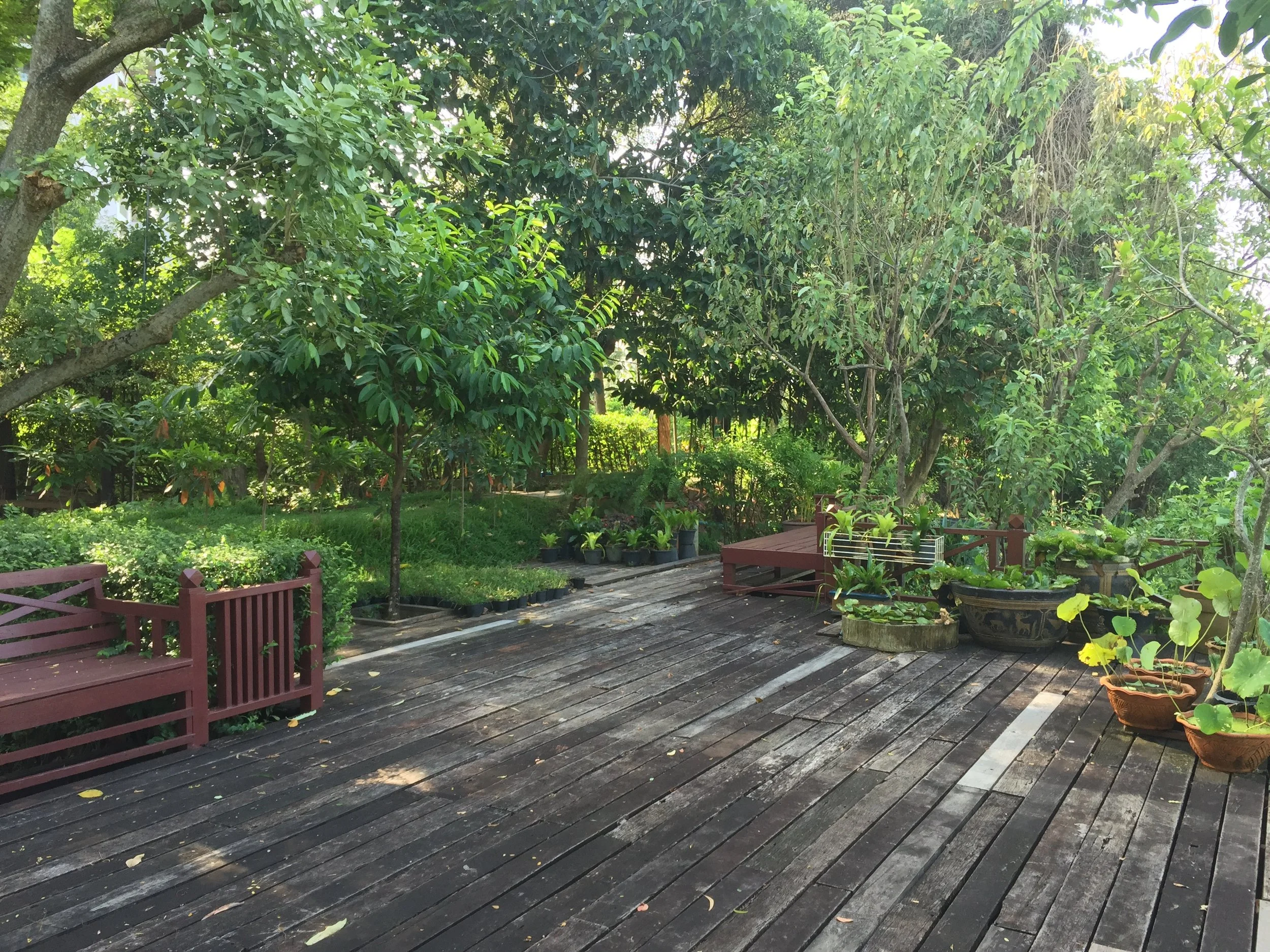 BKK - RIDE TO SUAN THIP PAKKRET FALL 2015 (12).JPG