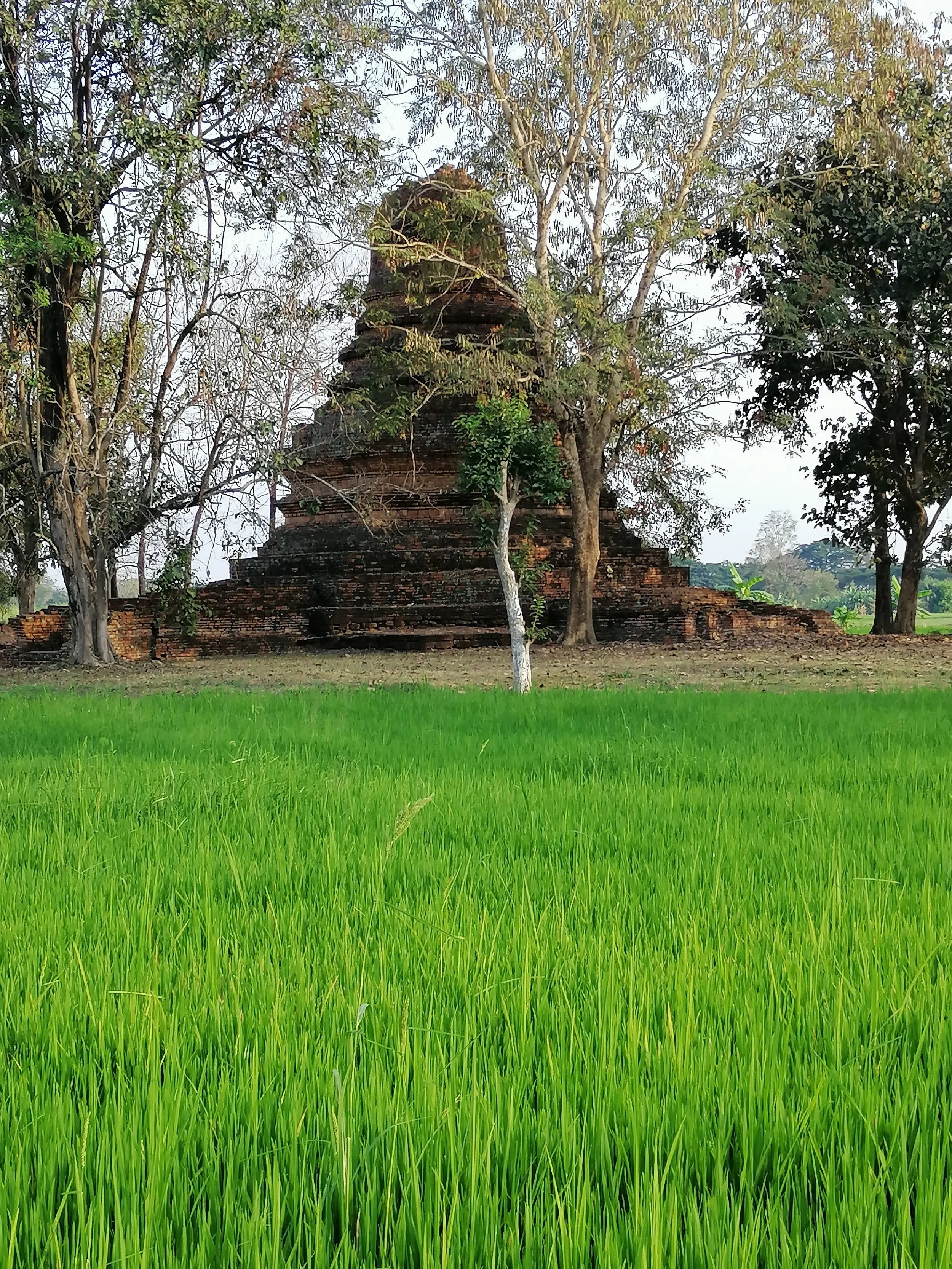 A satelite chedi at Kamphaeng Phet Historical Site.