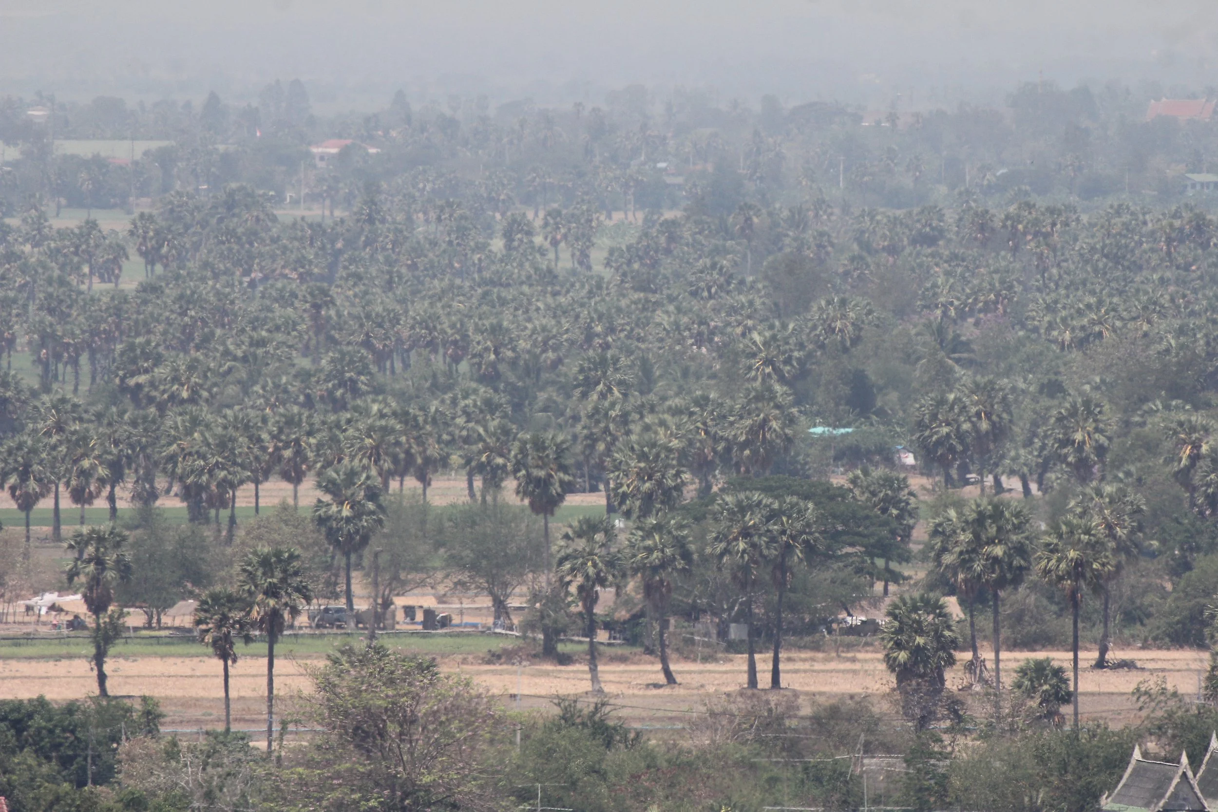 2020 Petchaburi Temple Trip with Cokie (59).JPG