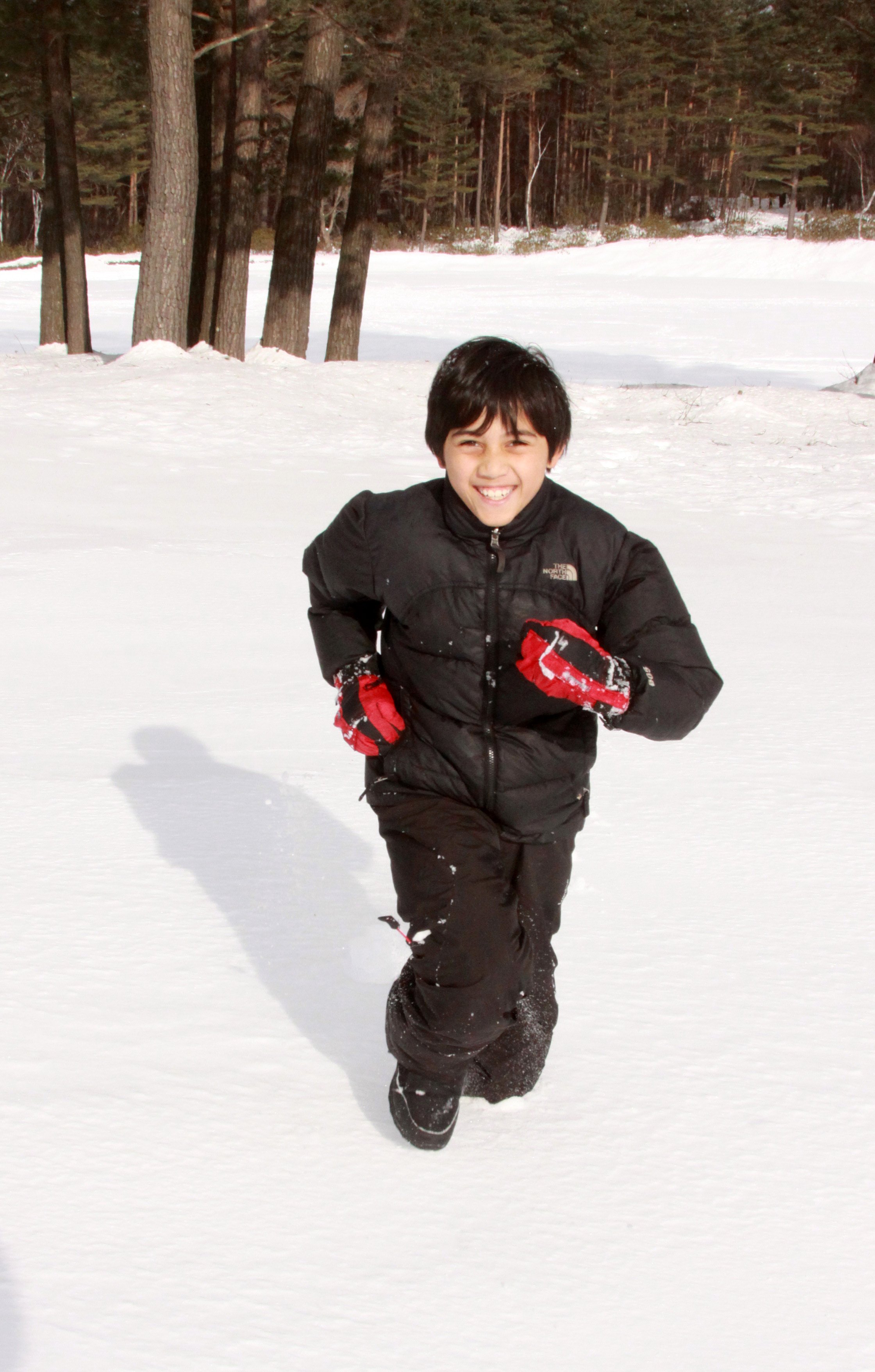 MOUNT ASAMA - JOSHIN'ETSUKOGEN NATIONAL PARK JAPAN (53).JPG