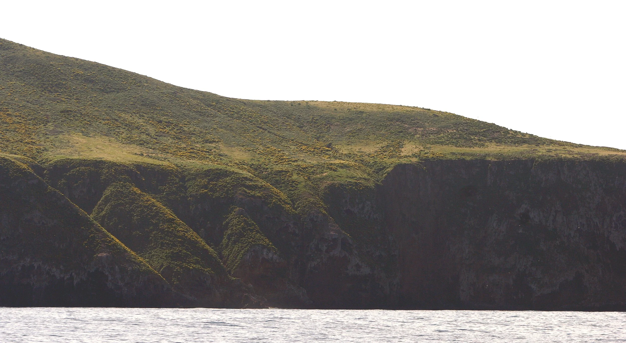 CALIFORNIA - CHANNEL ISLANDS NP - SANT CRUZ ISLAND (10).jpg