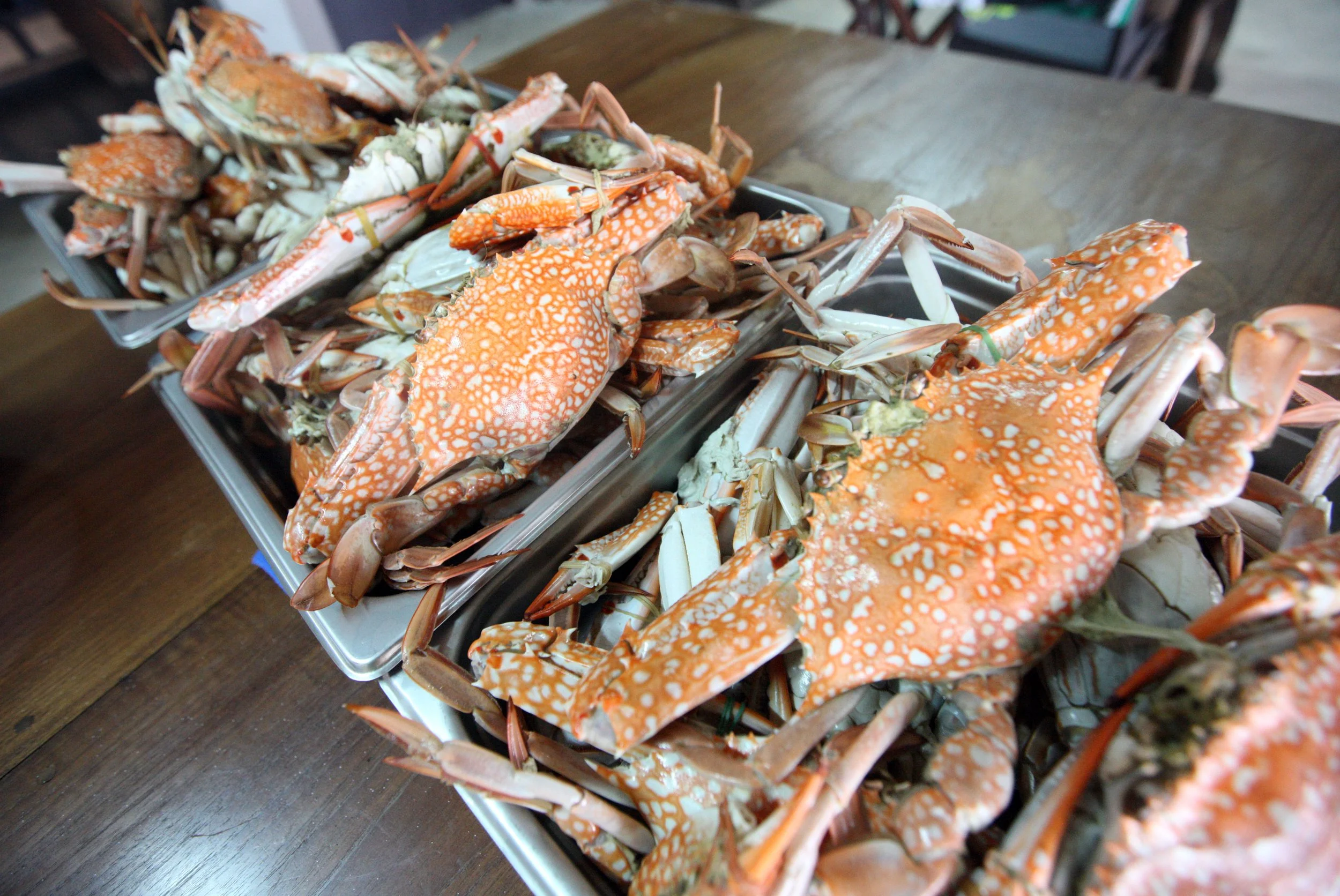 2016 Koh Lanta Spring Break with Family & Guests (211).JPG