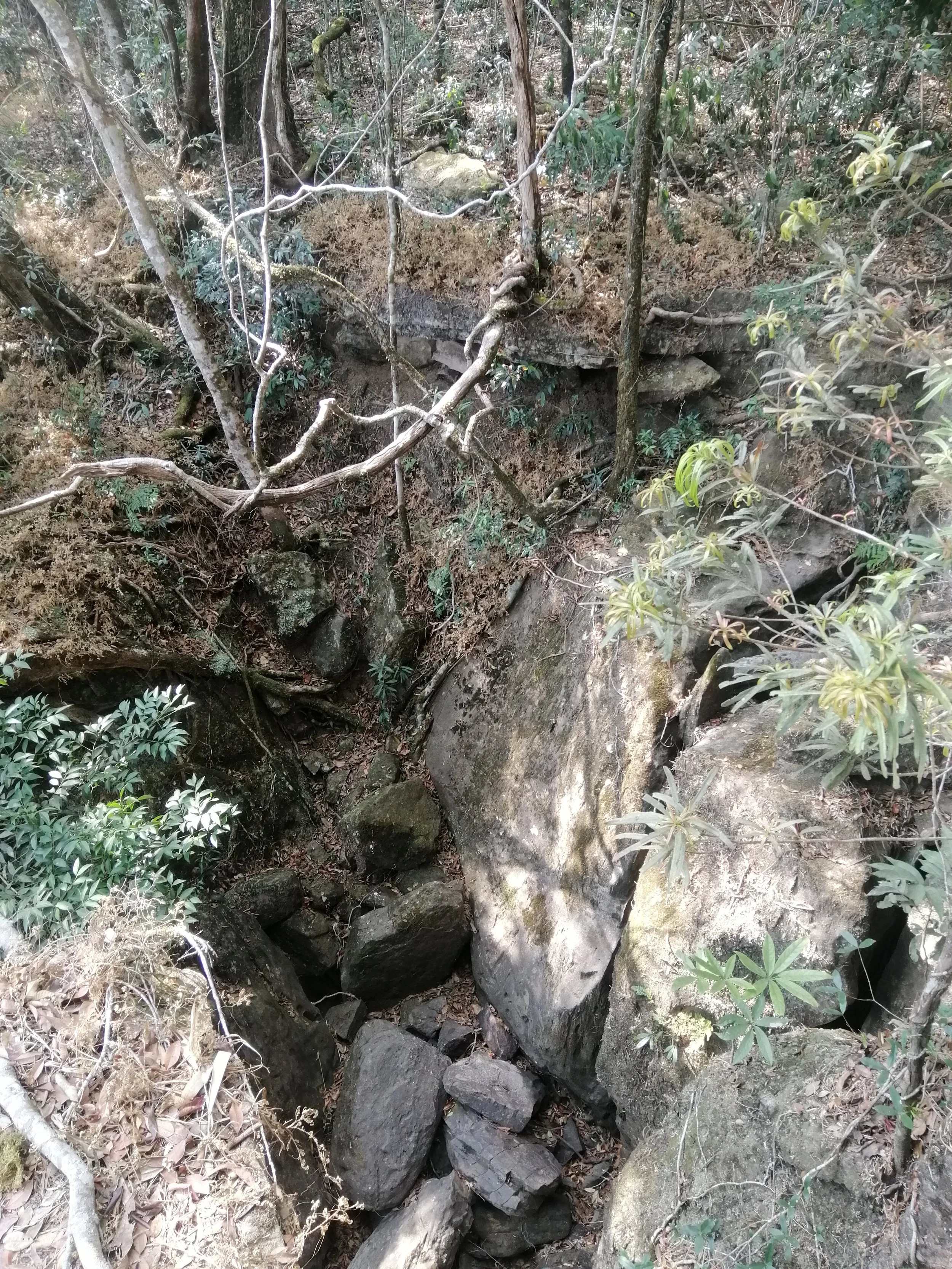 The water carved canyons at Pha Diew Dai are a testament to the hydrolic forces that formed this area as well as keep it moist and lush today.