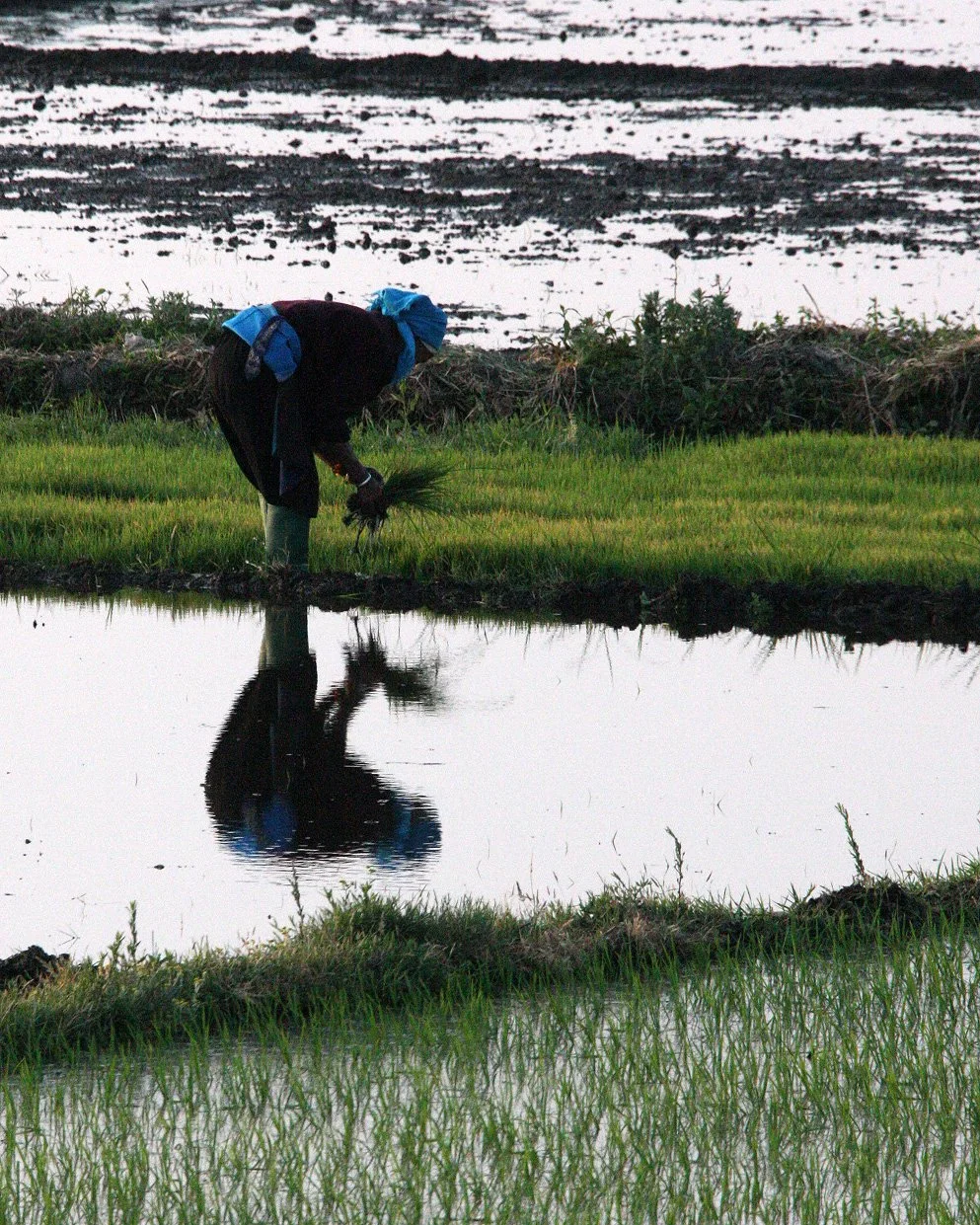 LINDEN CENTER - XIZHOU VILLAGE YUNNAN CHINA (75).JPG