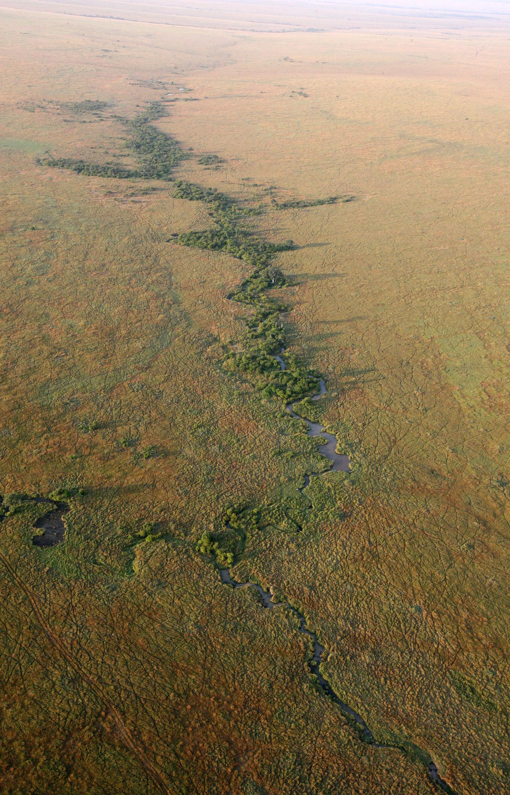 MASAI MARA NATIONAL PARK KENYA (122).JPG