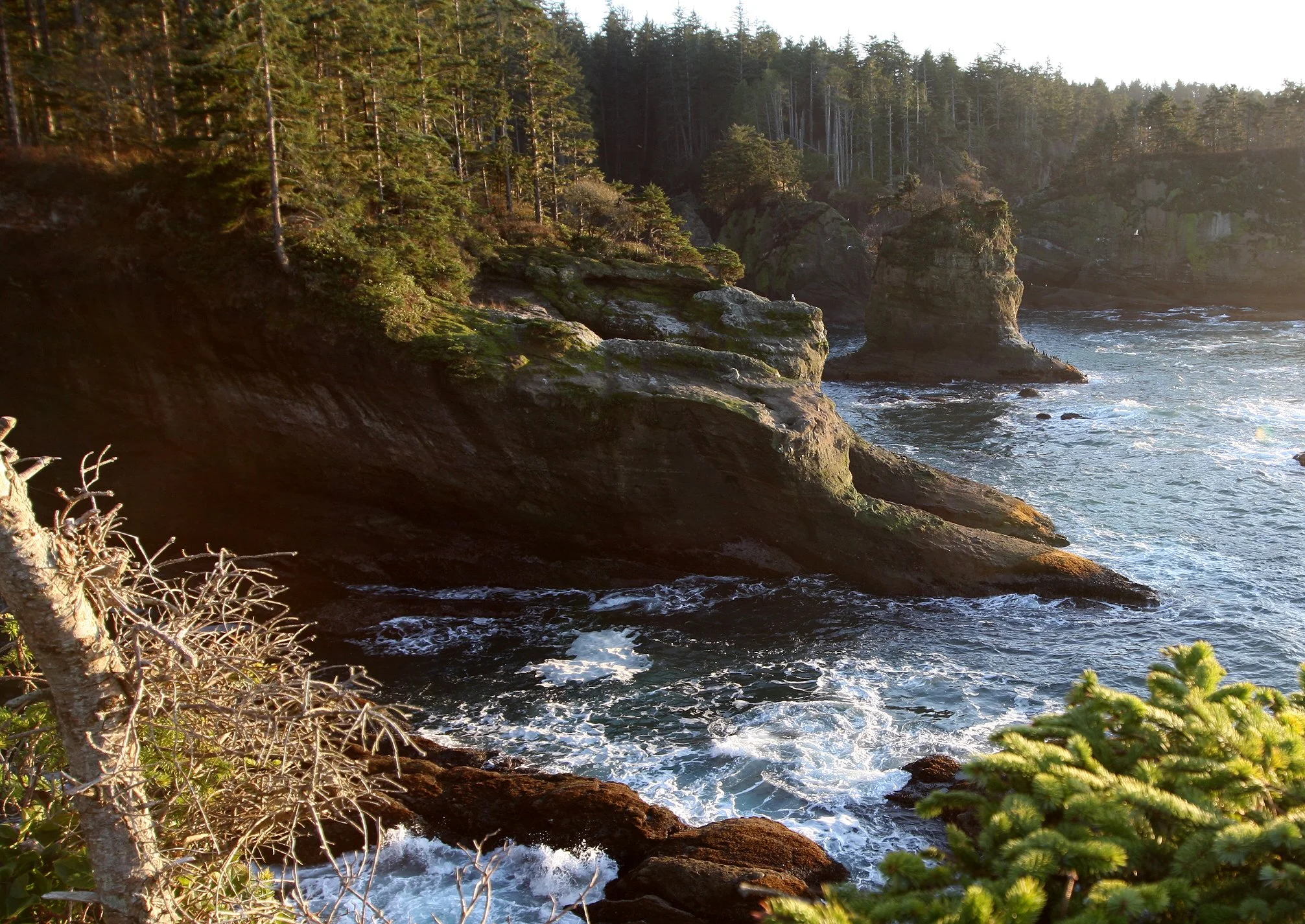 CAPE FLATTERY OLYMPIC PENINSULA - 2010-2-20 (17).JPG