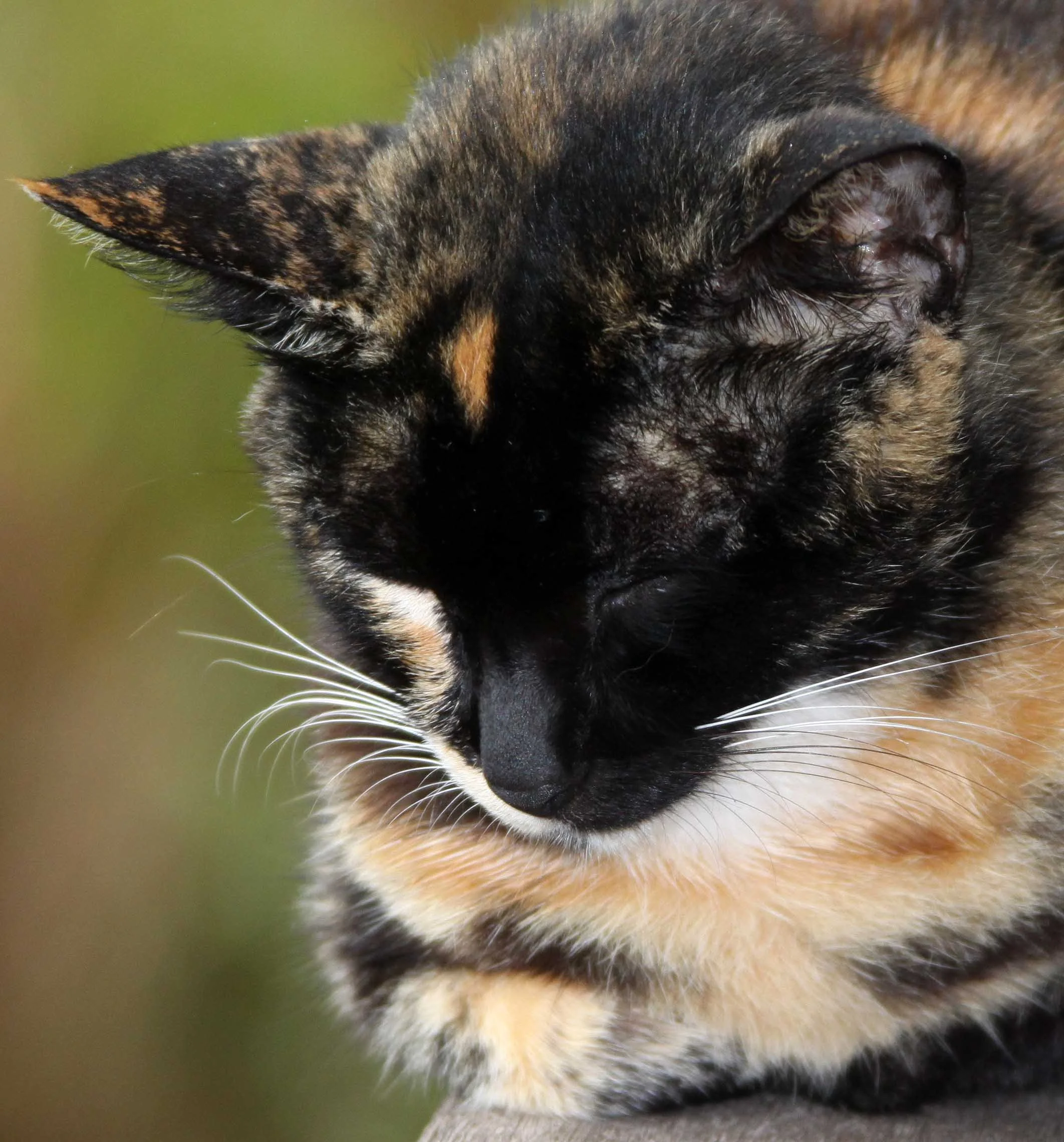 CAT TIEN NATIONAL PARK VIET NAM (31).JPG