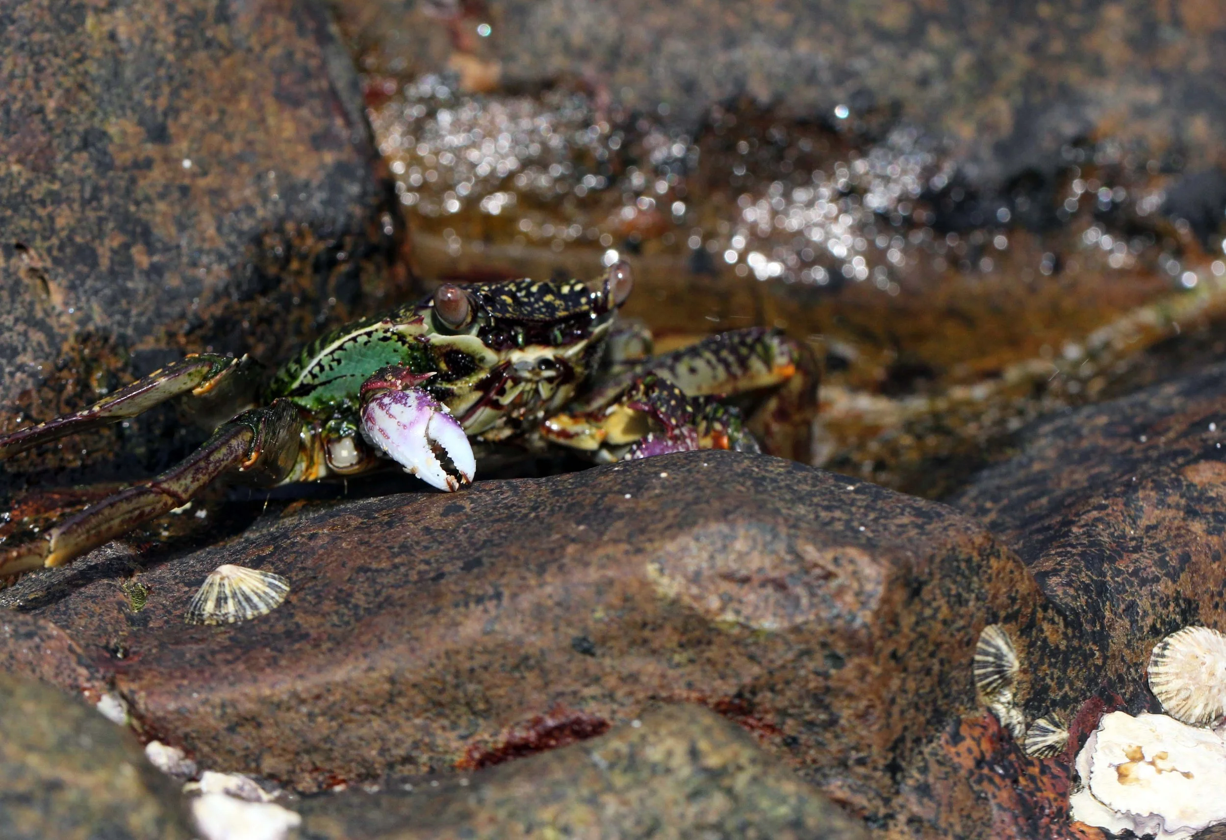 2013 KOH LANTA - OCTOBER BREAK 2013 (211).JPG