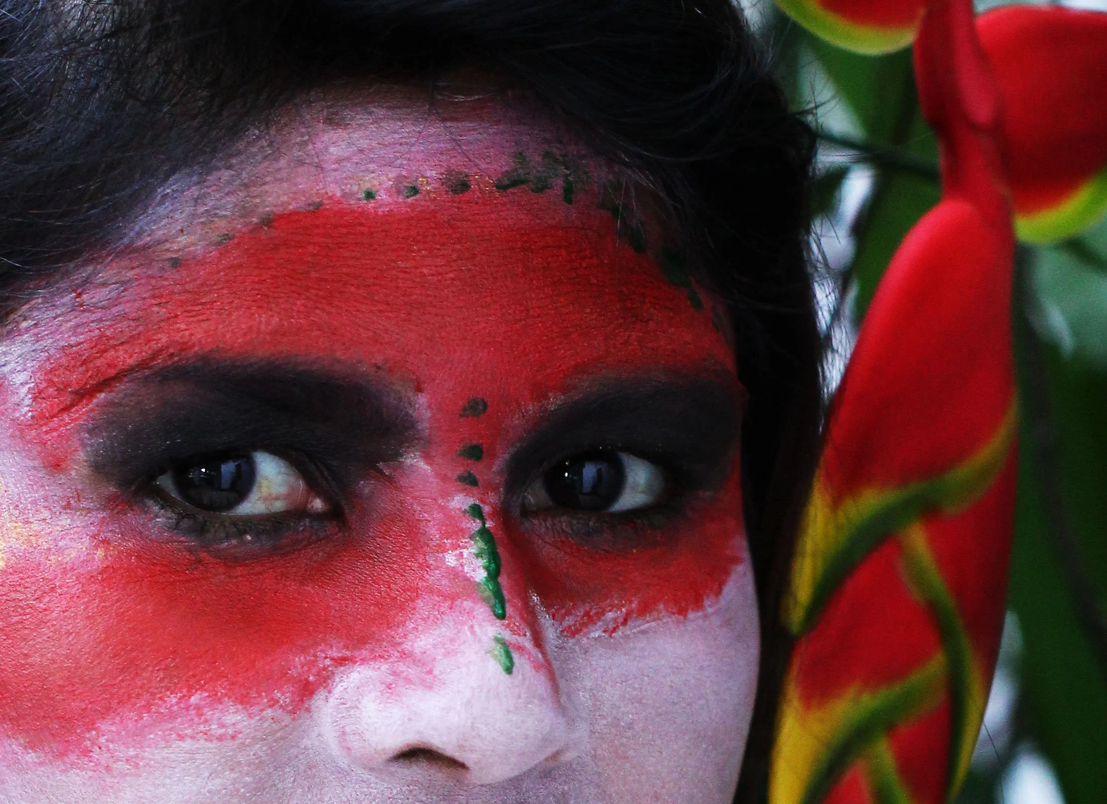 2015 Som's Painted Face (30).jpg