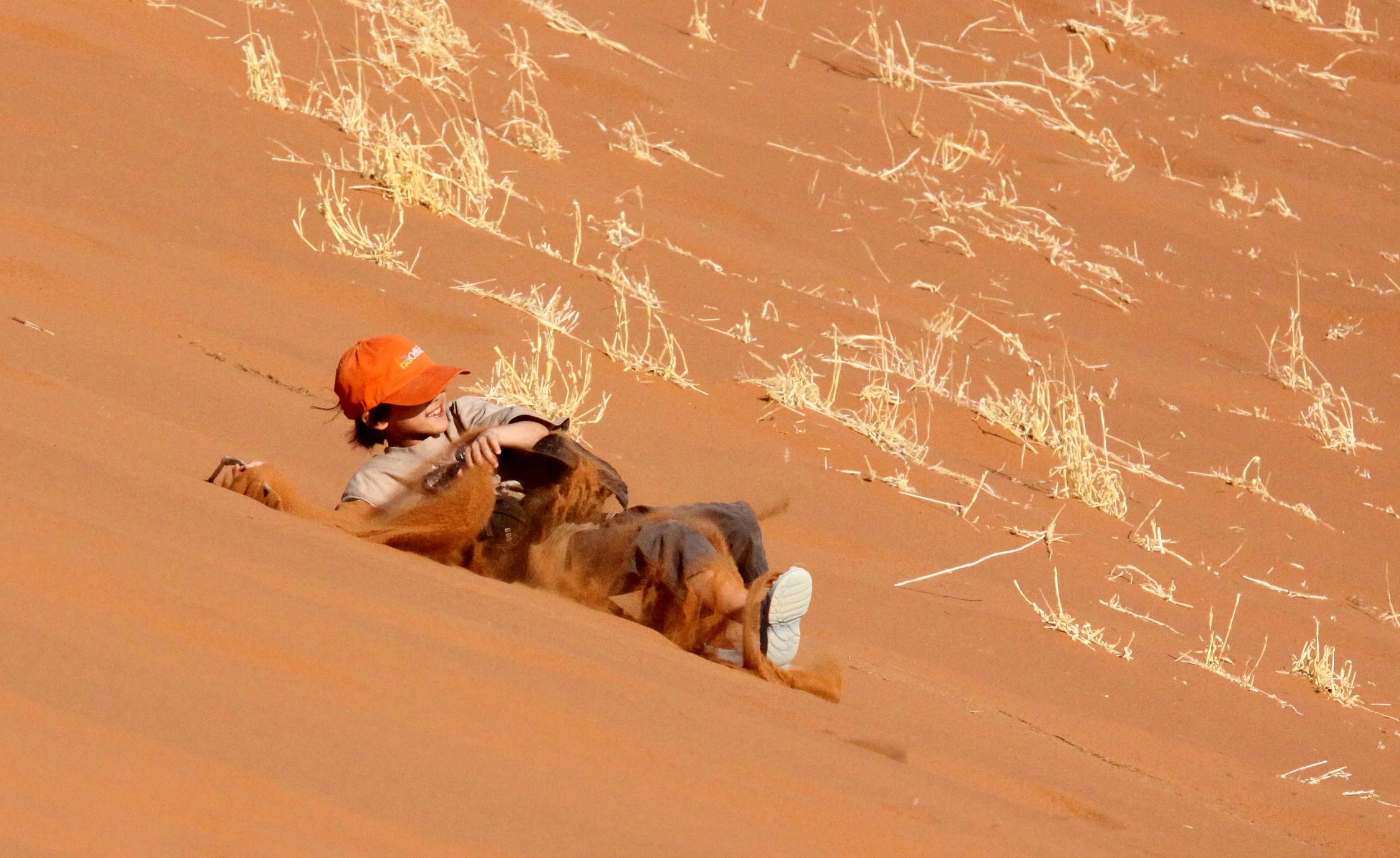 SOSSUSVLEI, NAMIB NAUKLUFT NATIONAL PARK, NAMIBIA - DEAD VLEI (97).JPG