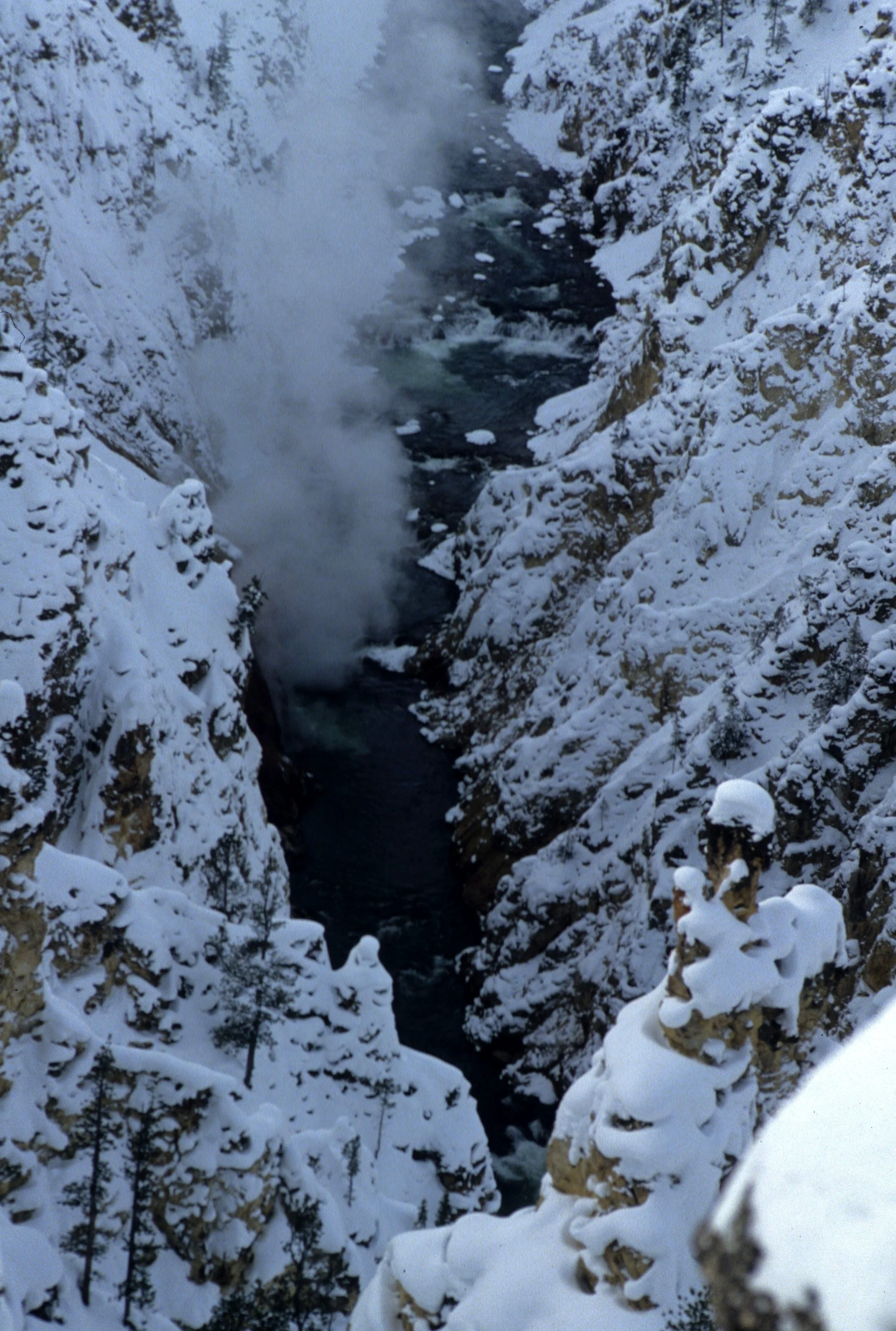 YELLOWSTONE IN WINTER Z.jpg